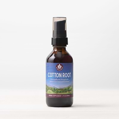 Cotton Root Bark Tincture