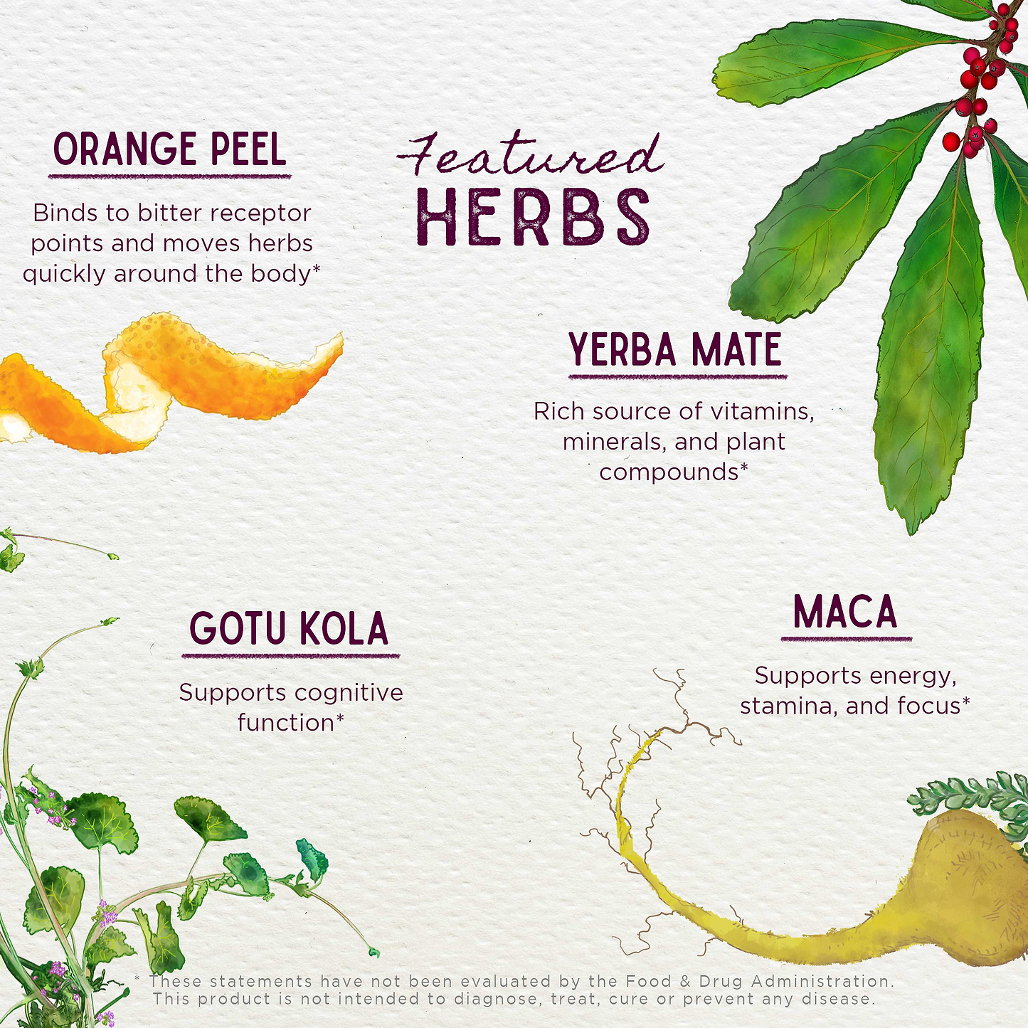 Featured Herbs in Rise & Energize Daily Energy Boost