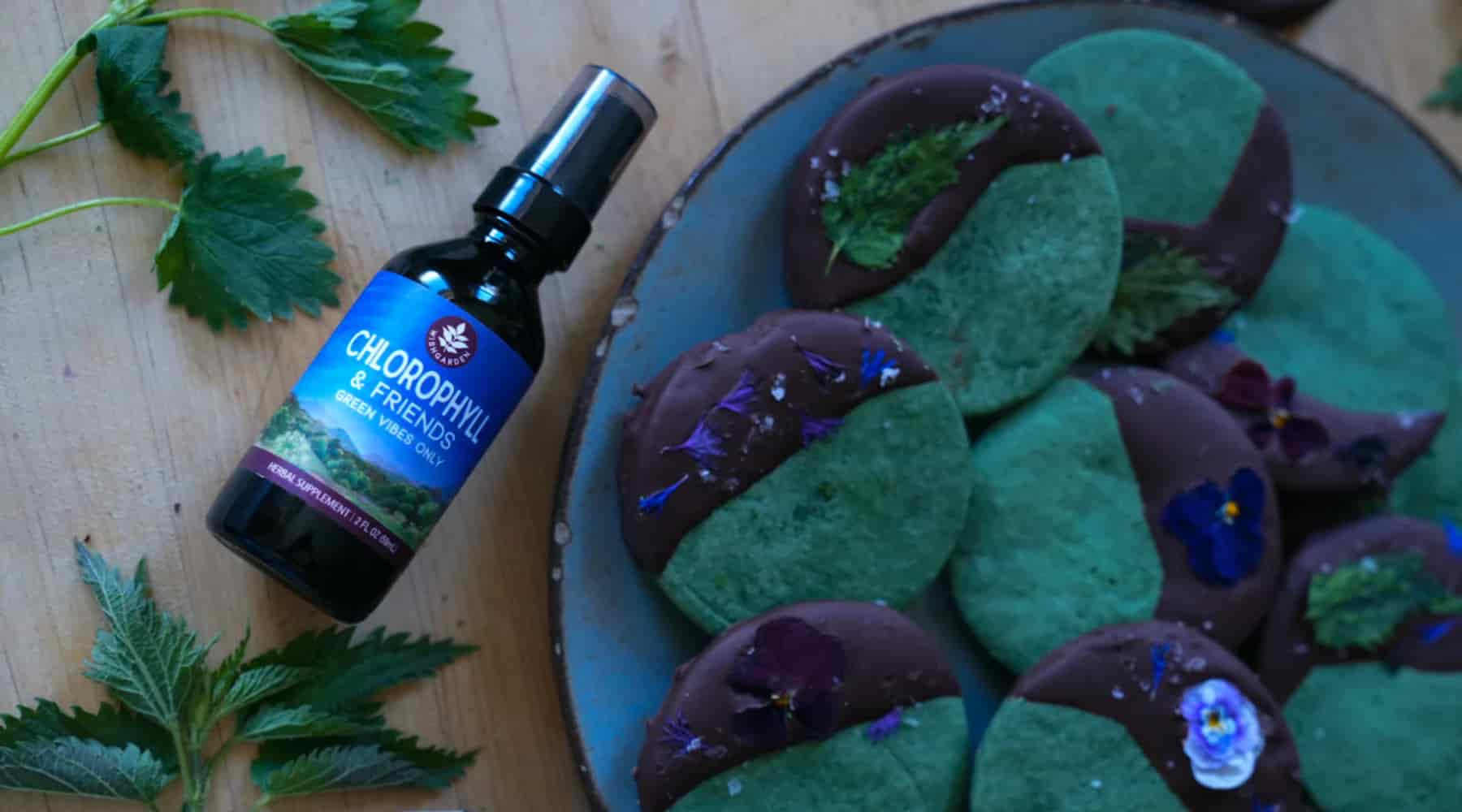 Chocolate-Dipped Spring Shortbread Cookies With Chlorophyll & Friends!
