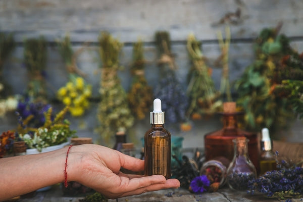 Classic Lemon Balm Tincture Recipe