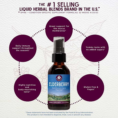 Benefits of Elderberry Tincture