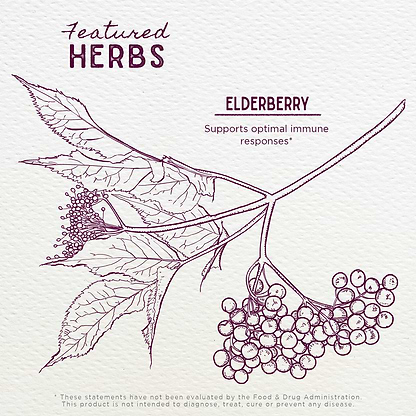 Featured Herbs in Elderberry Tincture