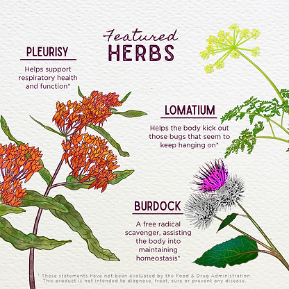 Featured Herbs in Get Over It!, Immune Recovery