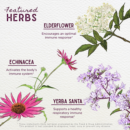 Featured Herbs in Kick-Ass Immune, Activator