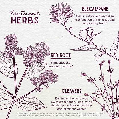 Featured Herbs in Respiratory Strength, Daily Support