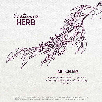 Featured Herbs in Tart Cherry Tincture