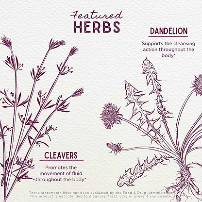 Featured Herbs in Urinary Strength, Active Support