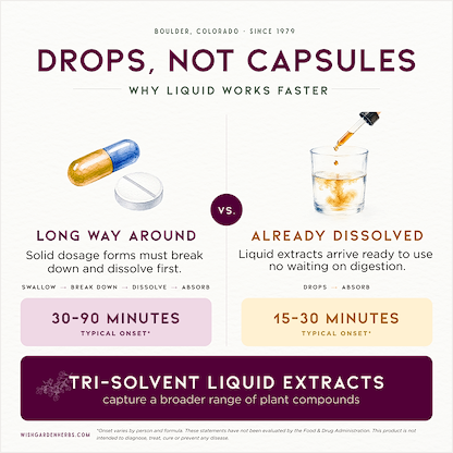 Genius Juice, Cognitive Aid