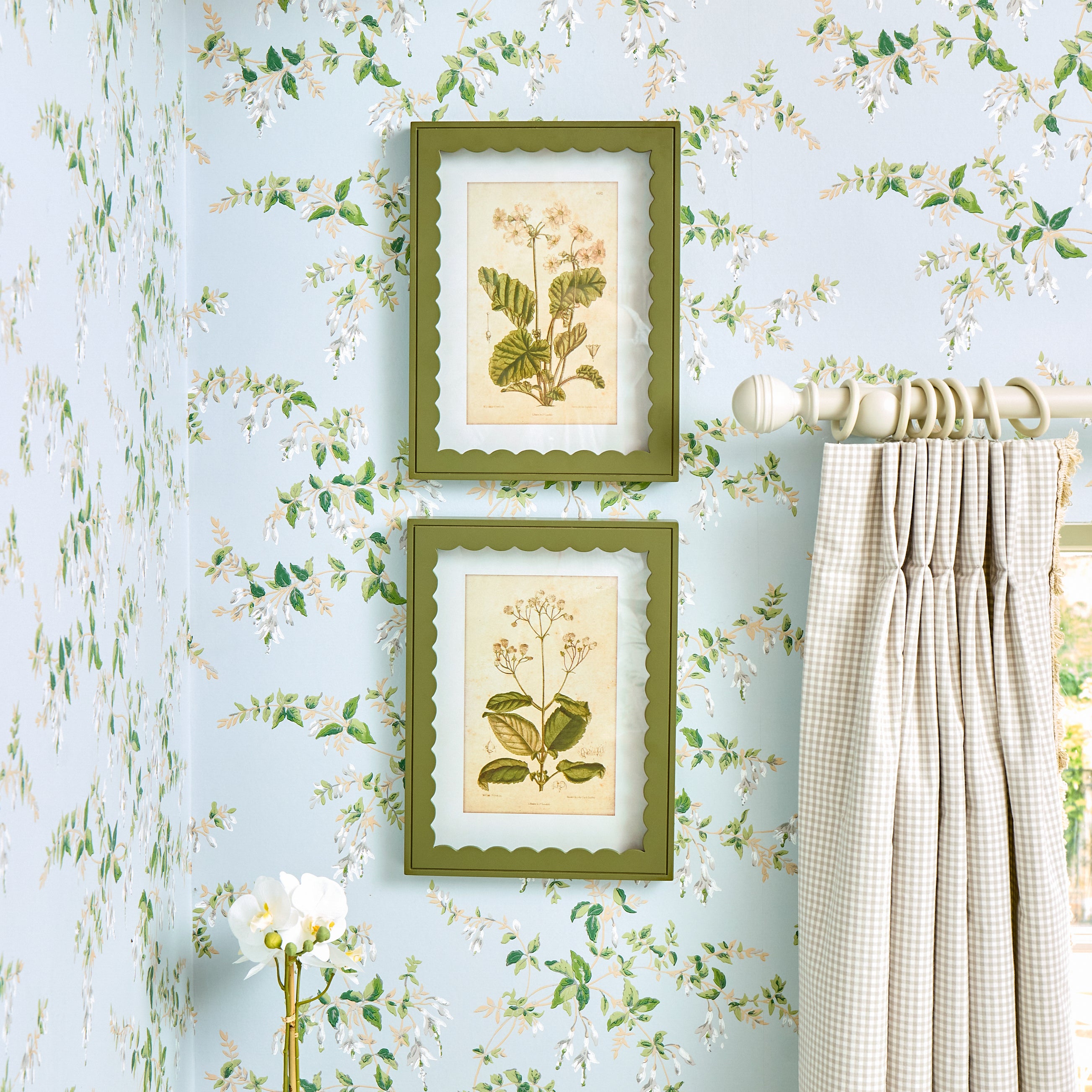 Green Scalloped Primula Framed Prints (Set of 2)