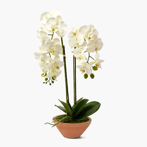 Faux Flowers and Plants