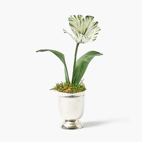 Home Decor & Homeware