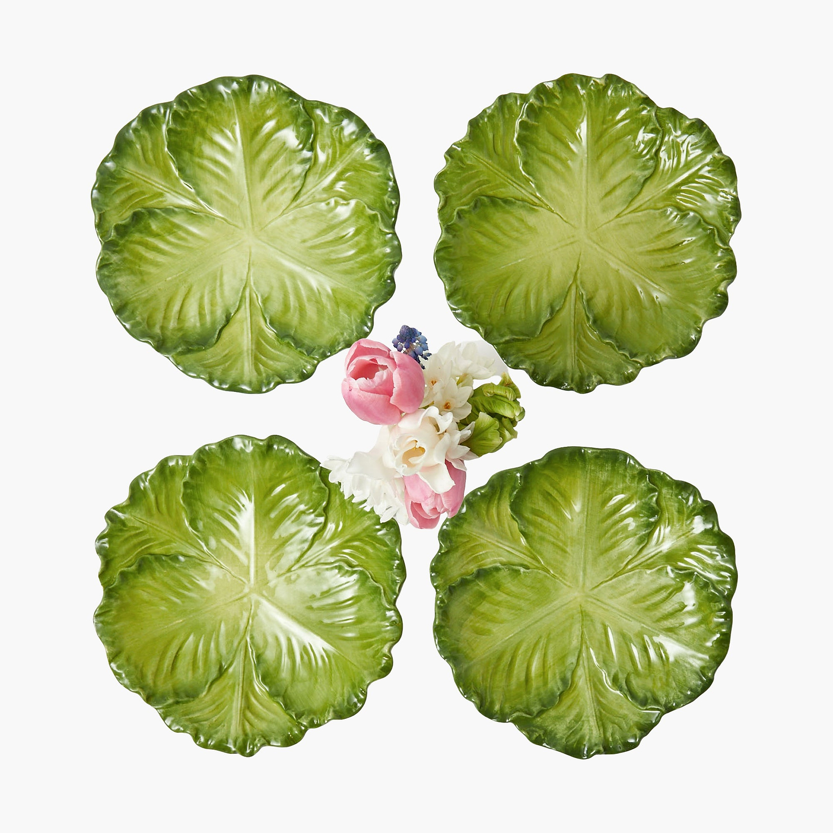 Cabbage Starter Plates by Mrs. Alice
