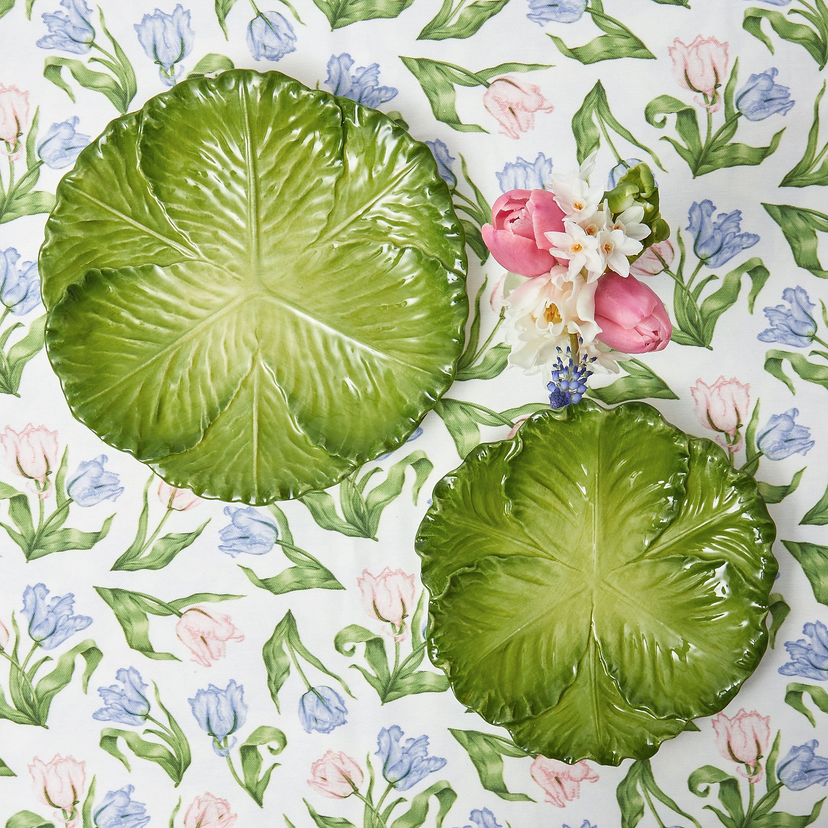 Cabbage Starter Plates by Mrs. Alice