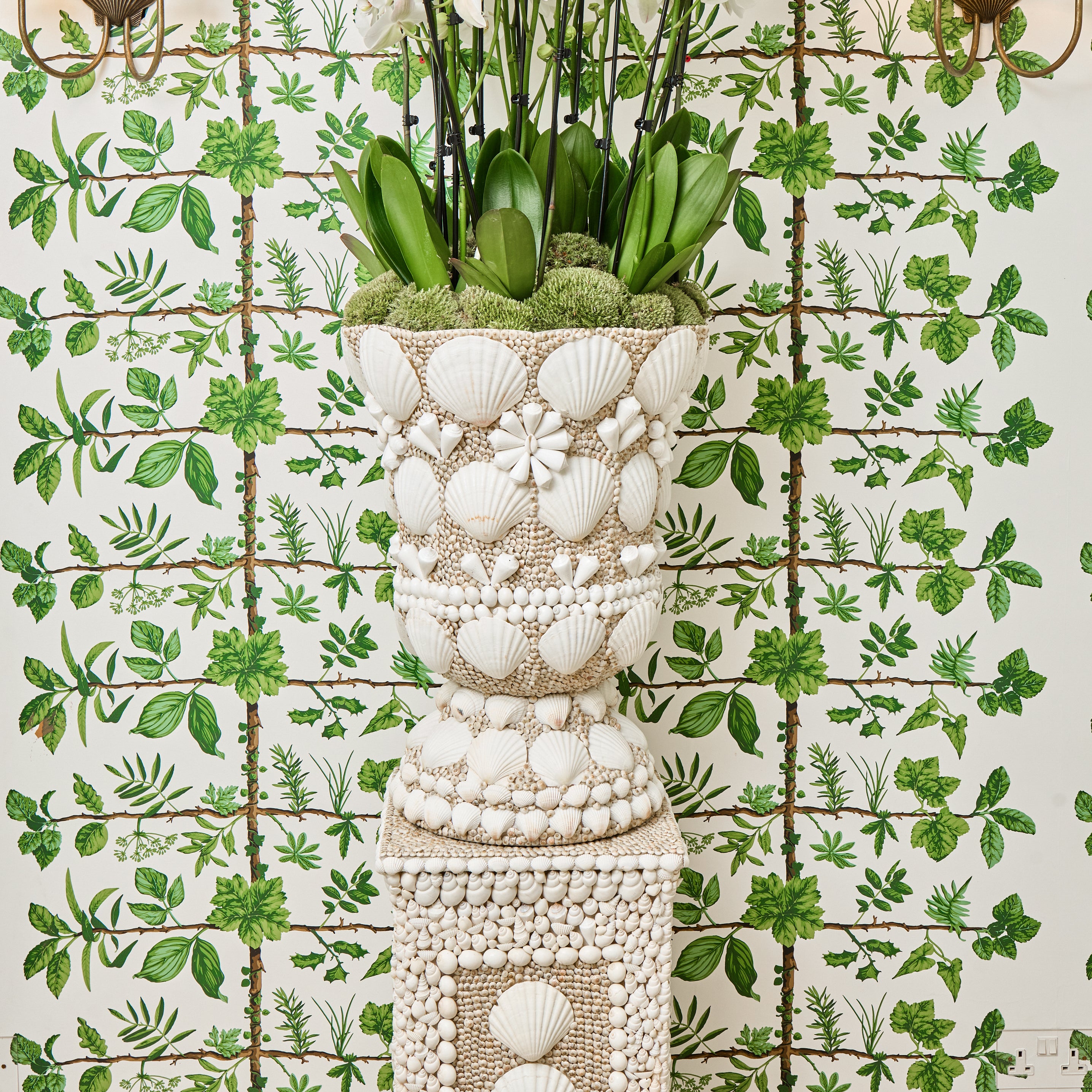 Large Mixed Shell Urn & Pedestal