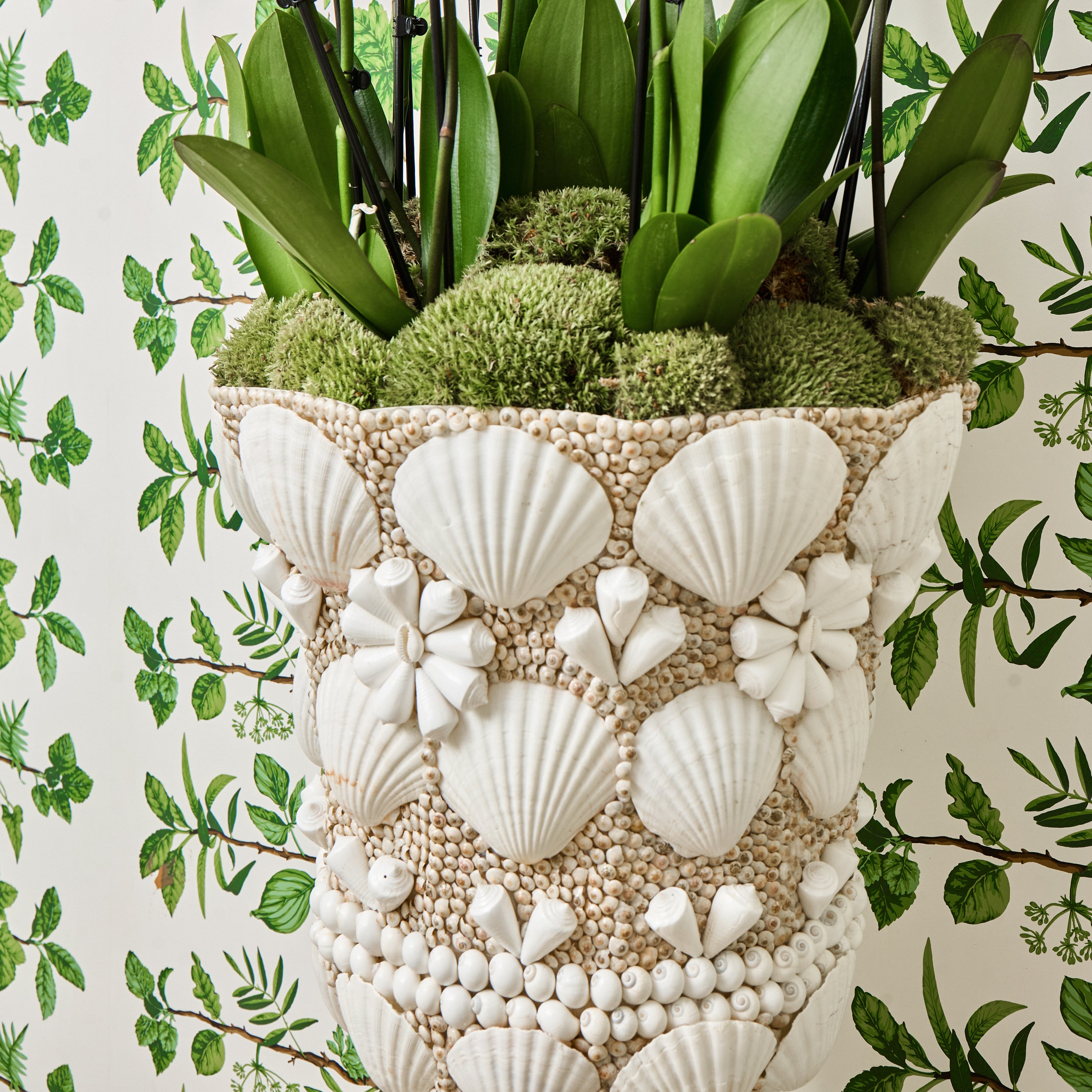 Large Shell Urn Vase