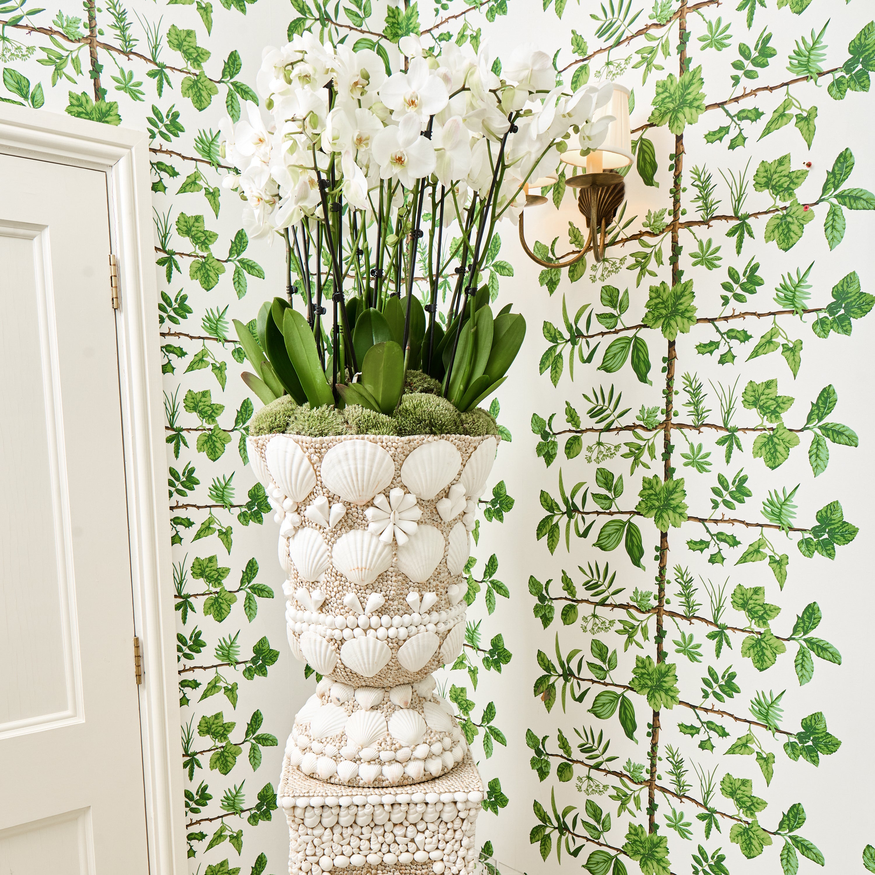 Large Shell Urn Vase