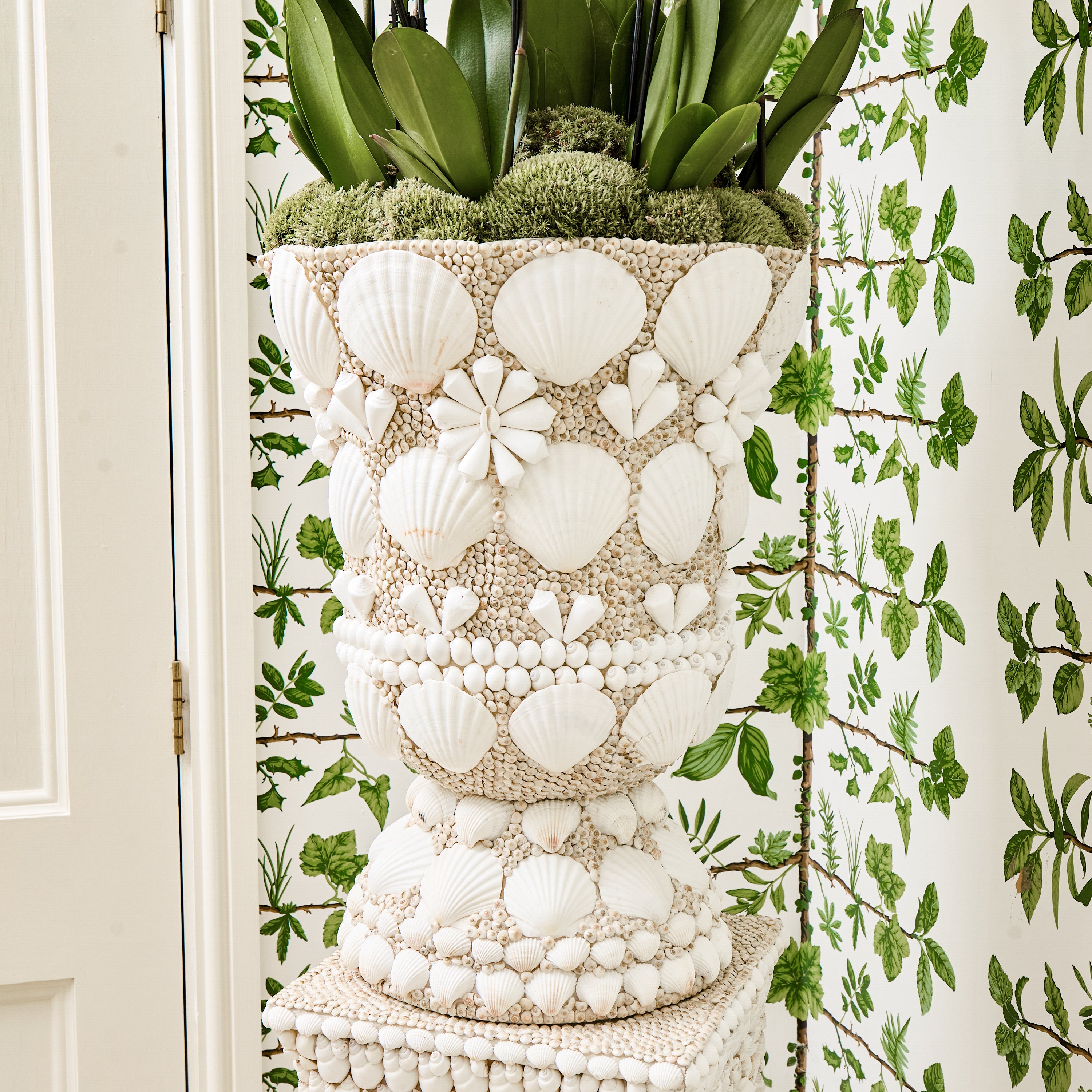 Large Shell Urn Vase
