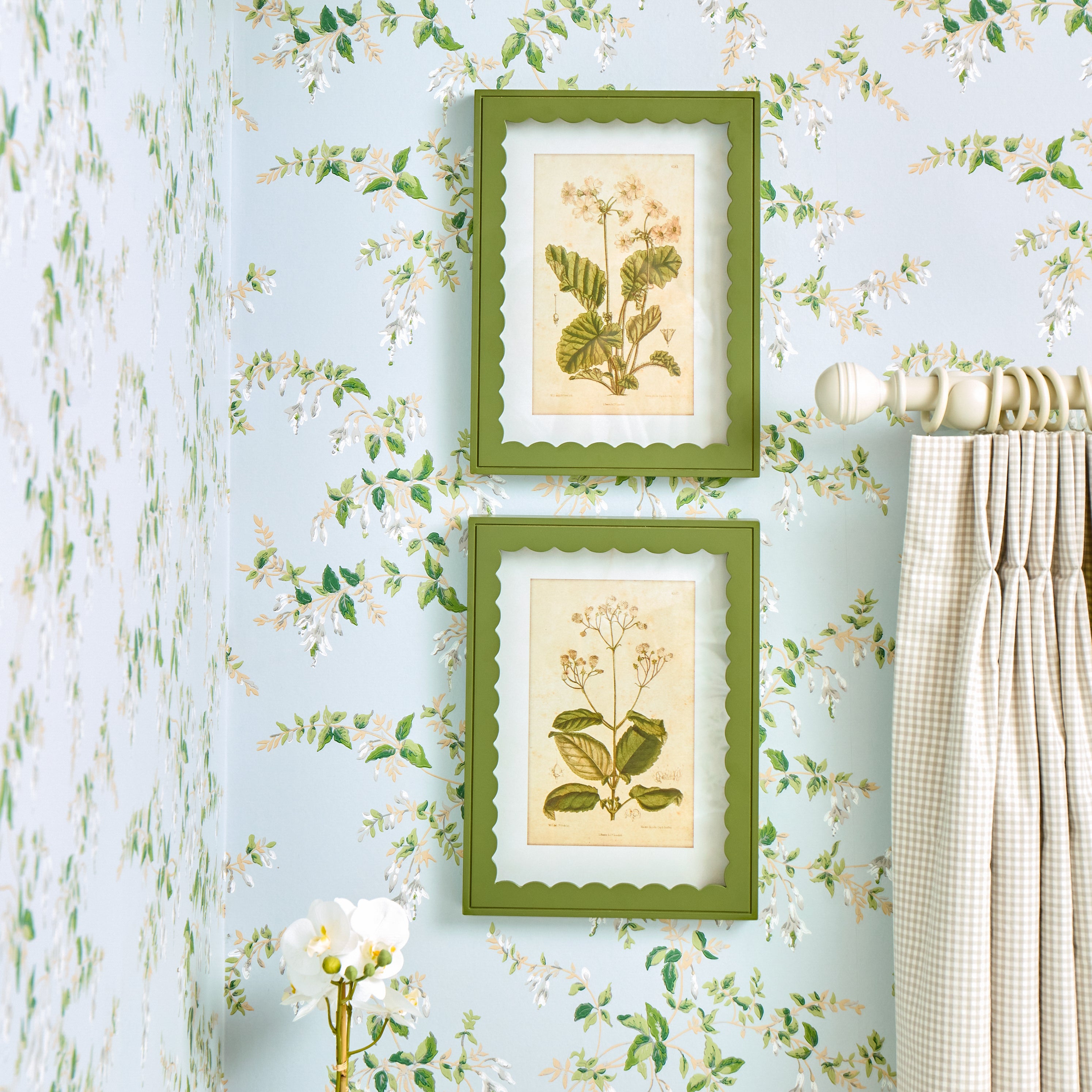 Green Scalloped Primula Framed Prints (Set of 2)