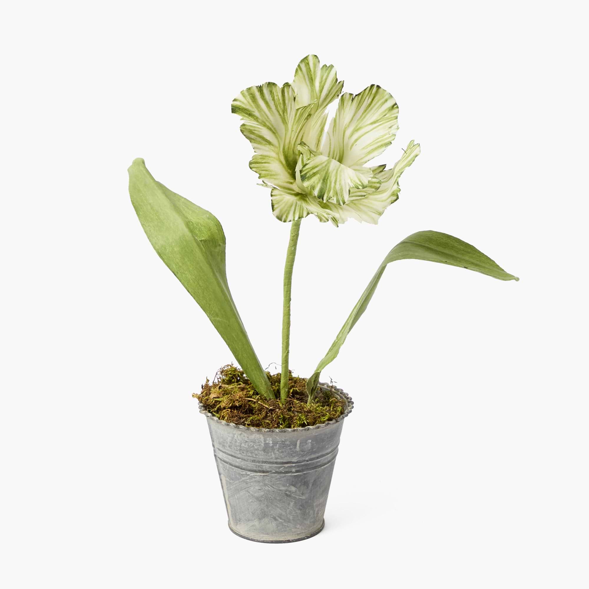 A faux green tulip plant in a metal bucket, designed as a decorative home item