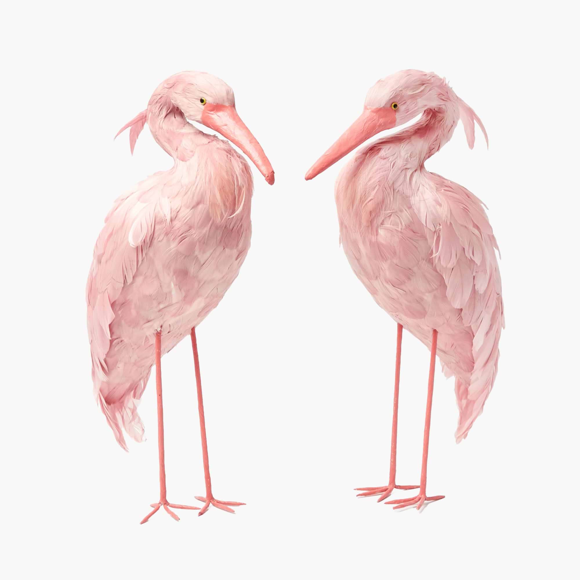 Two large pink flamingo figurines on a white background