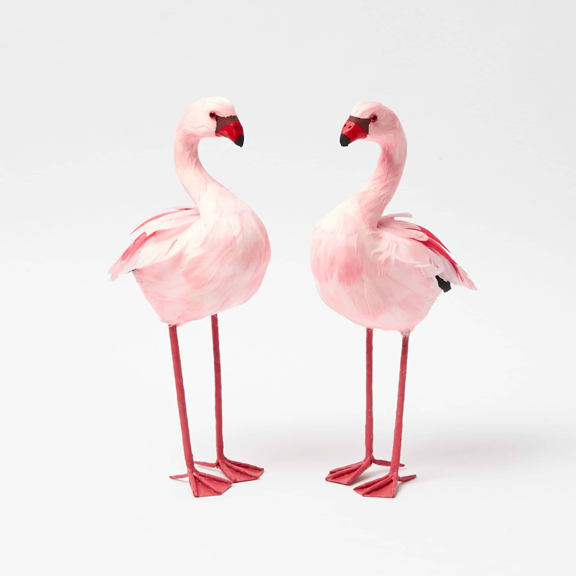Faye Flamingo Family