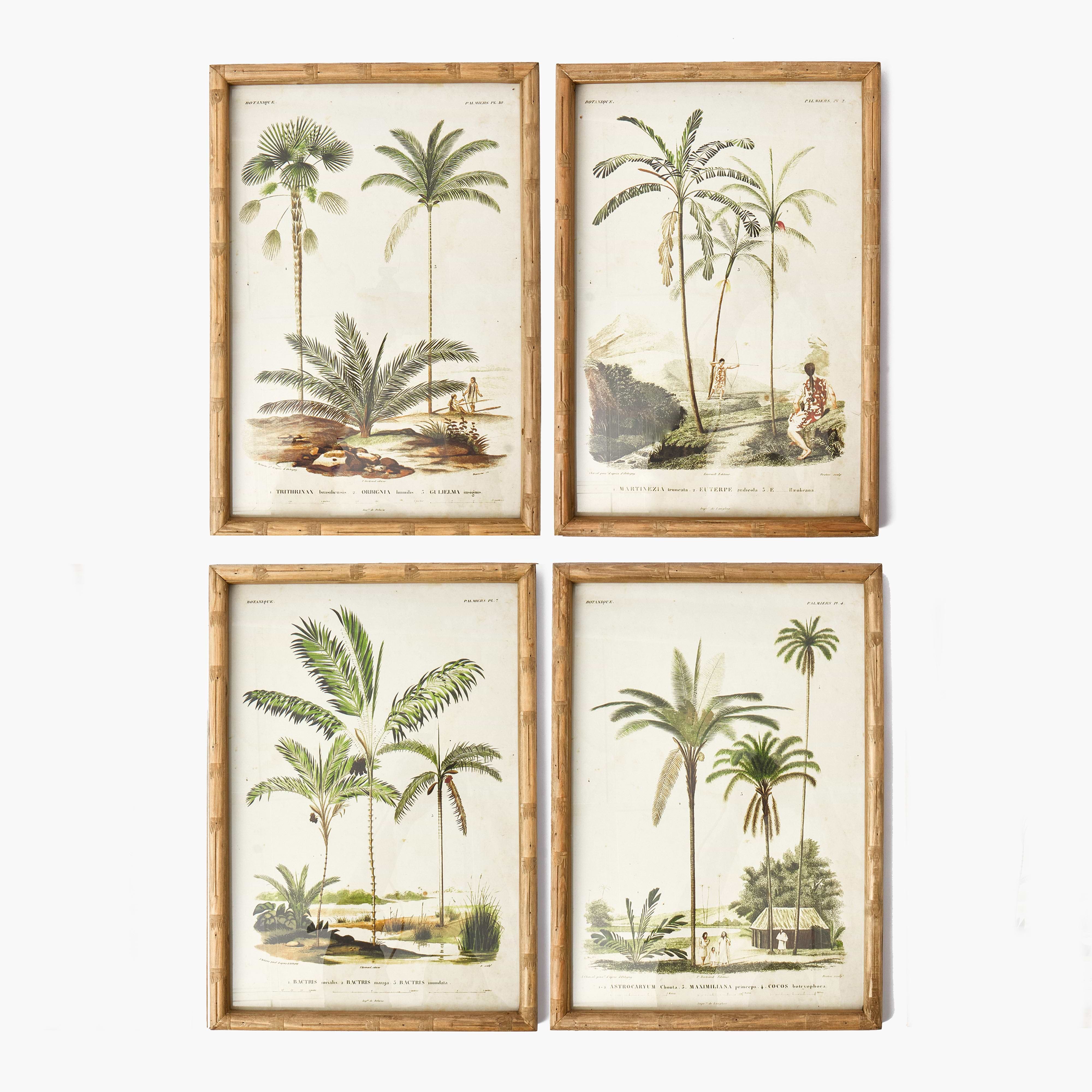 Palm Tree Bamboo Framed Wall Art (Set of 4)