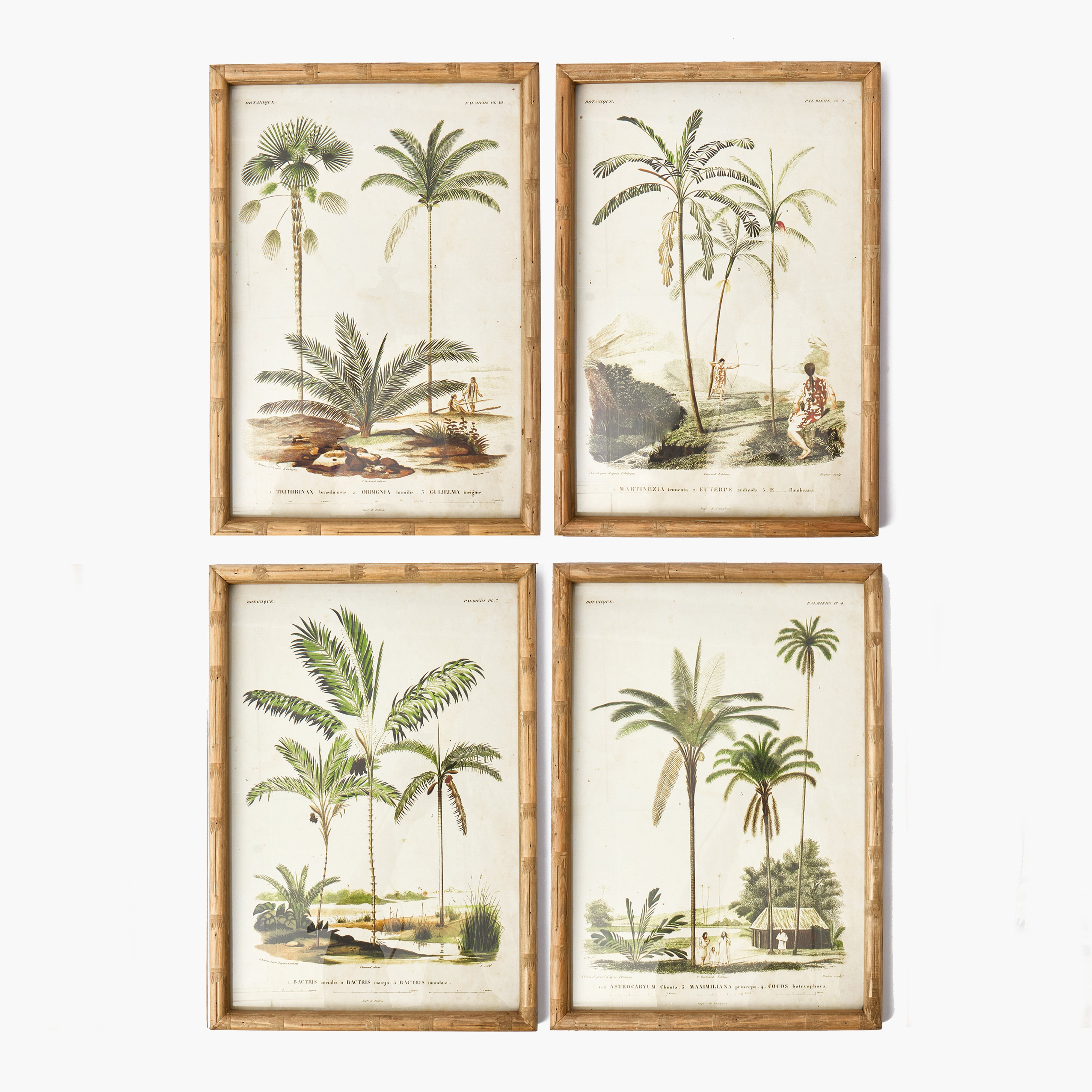 Palm Tree Bamboo Framed Wall Art (Set of 4)