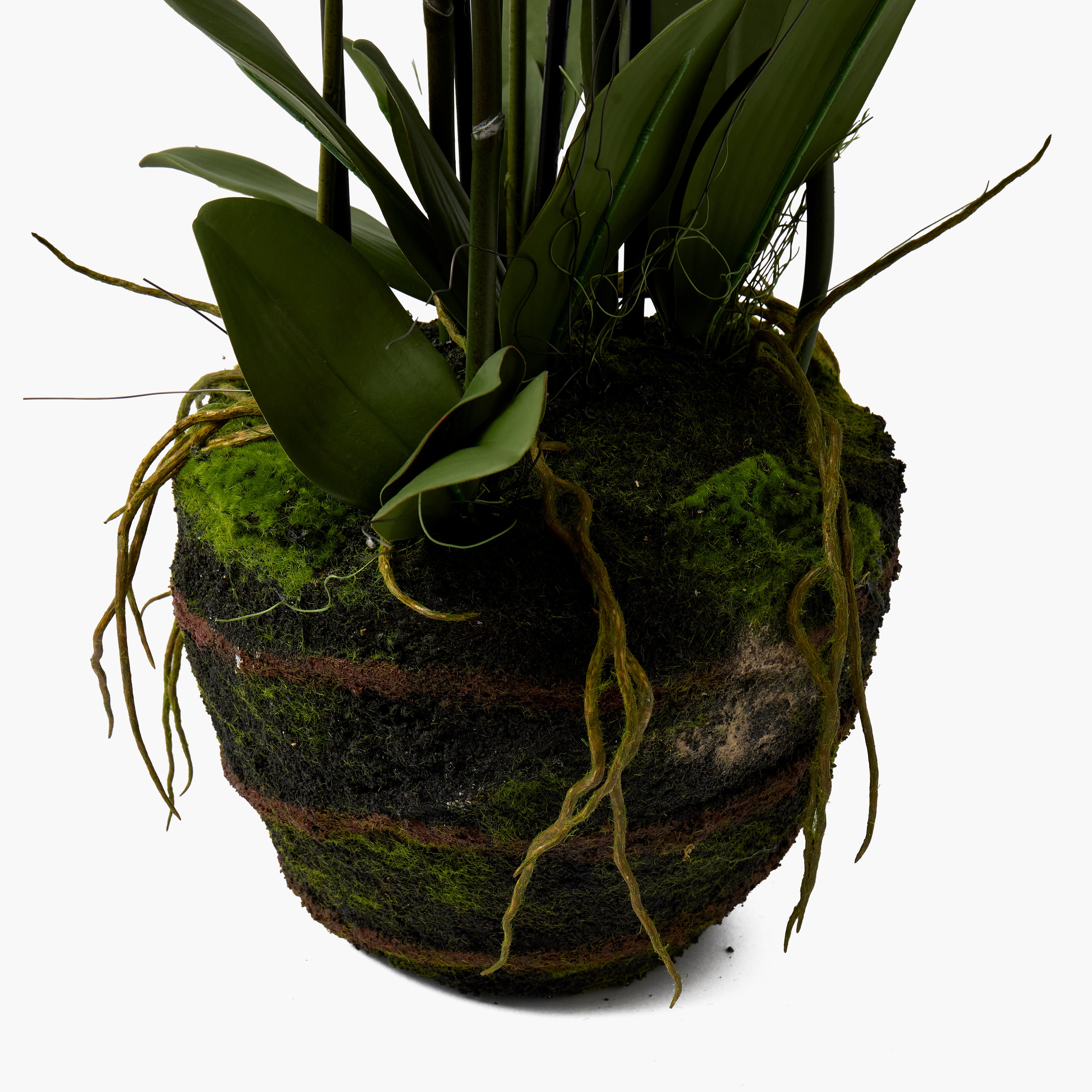 Faux Orchid in Soil - 110cm