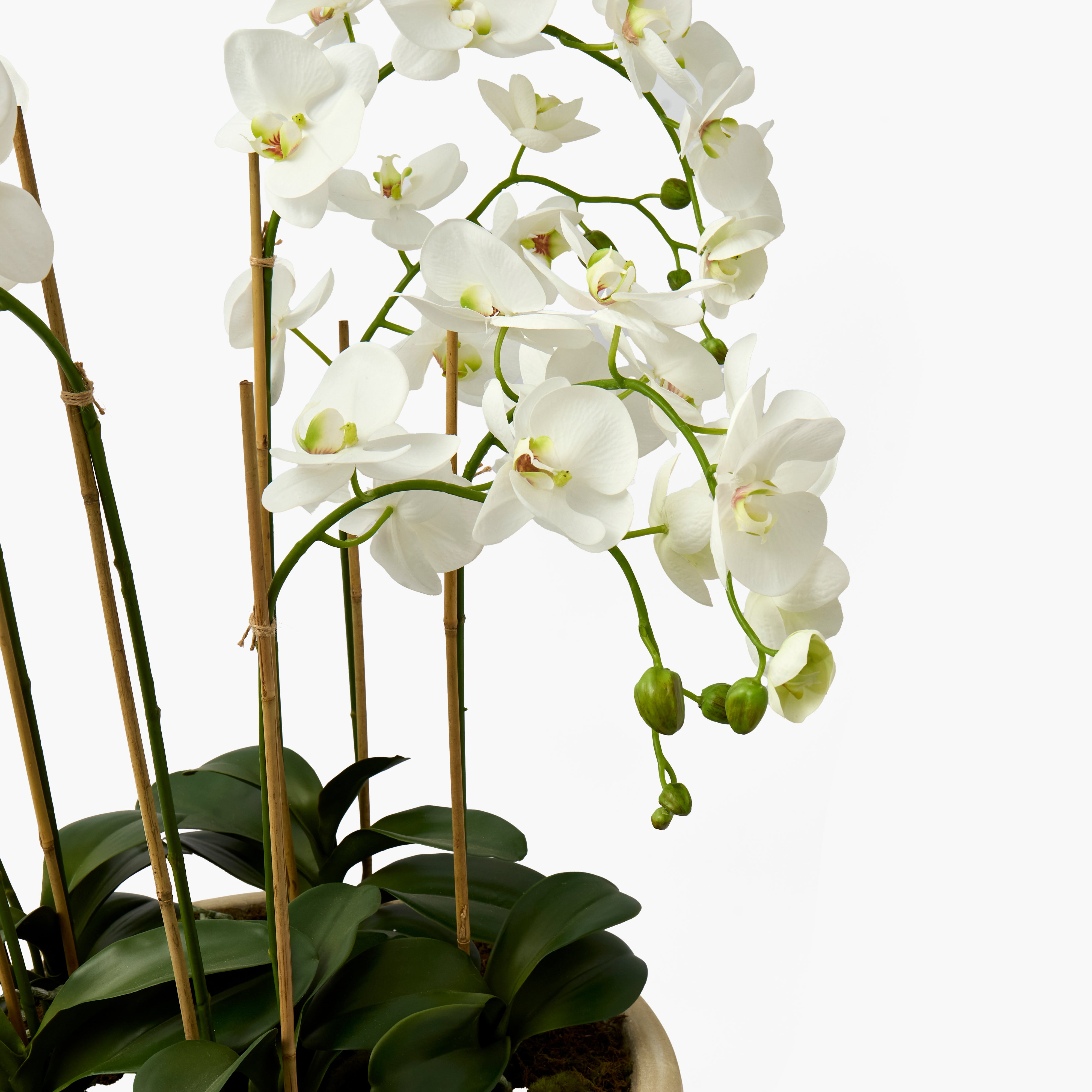 Faux Orchid in Large Clay Pot - 109cm