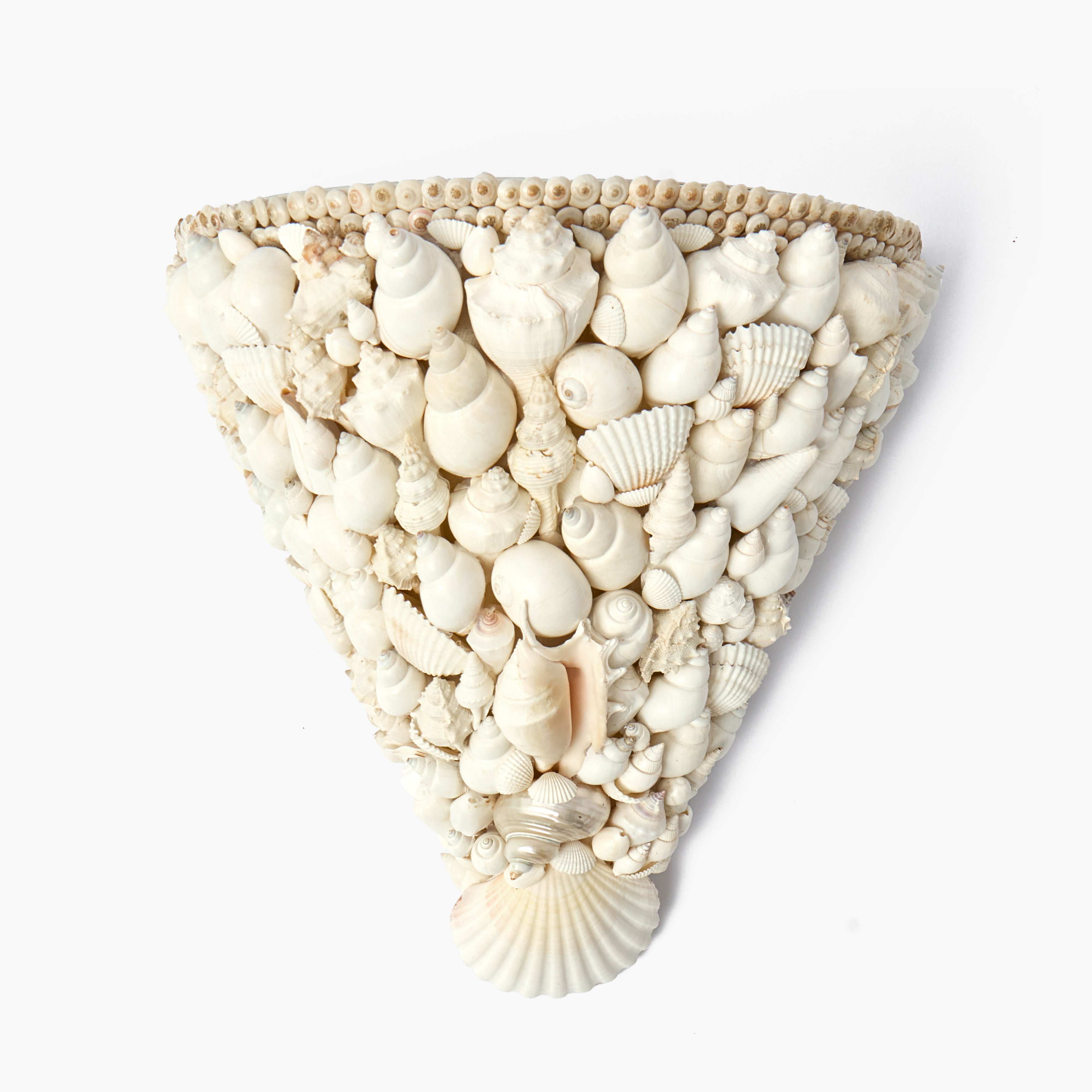 Shell Sconce