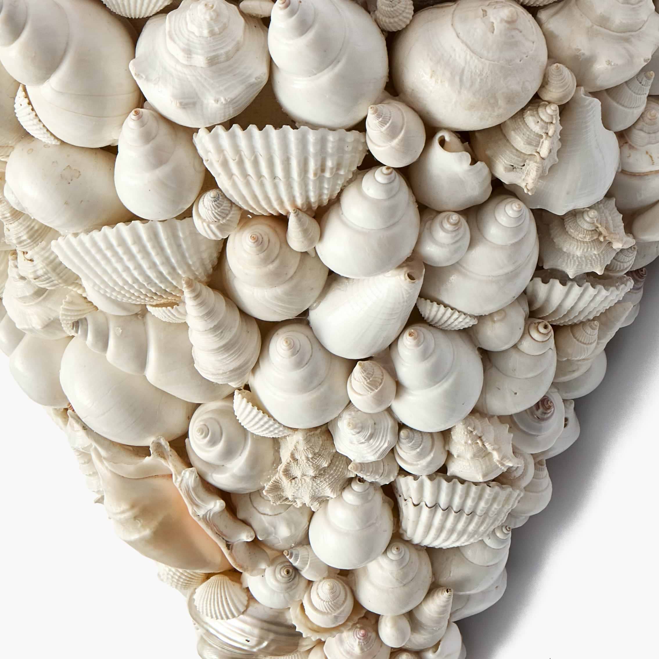 Shell Sconce