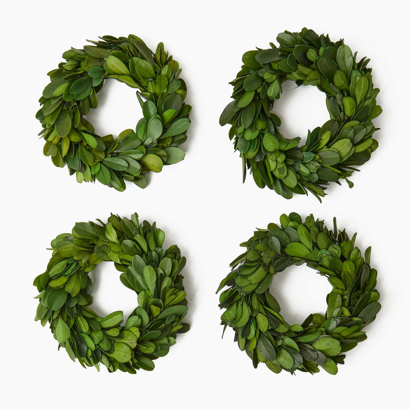 Boxwood Wreaths with Green Velvet Bows (Set of 4)