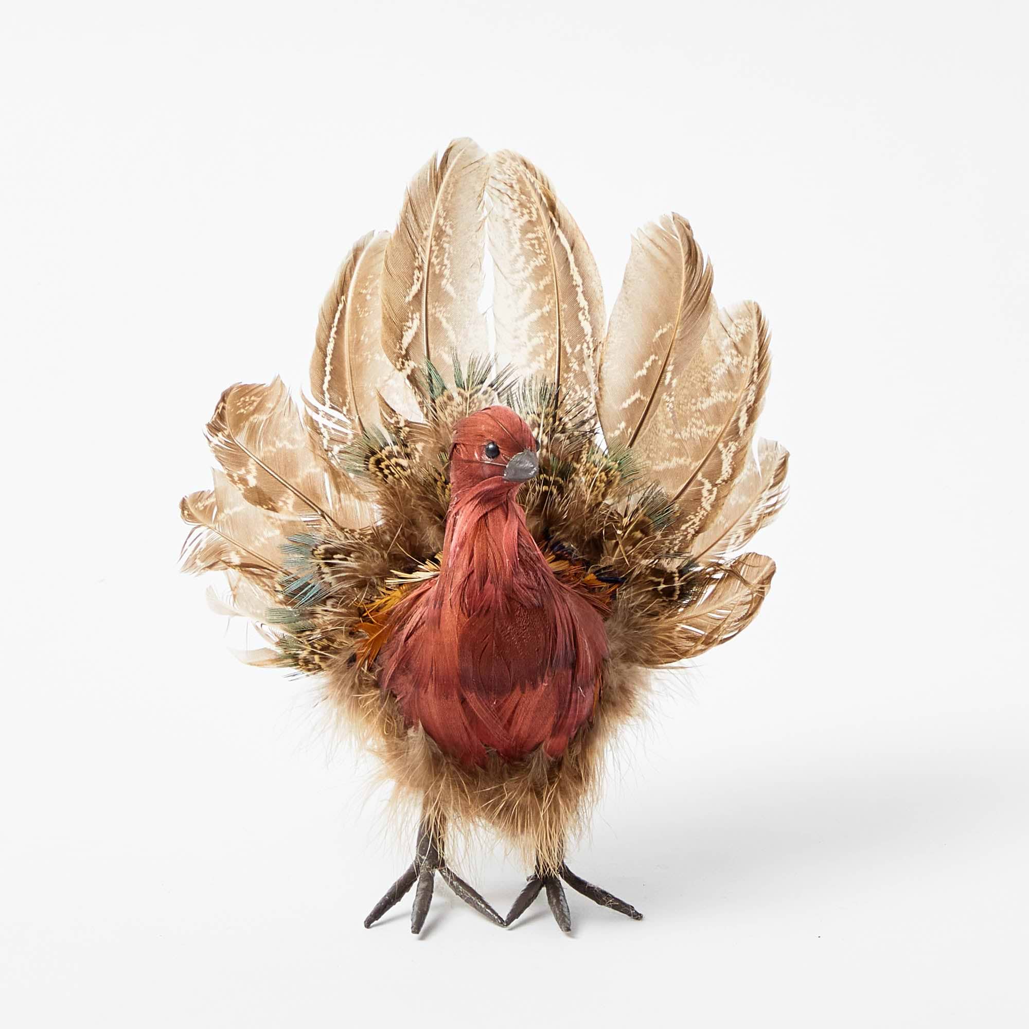 Tina The Tiny Turkey (Set of 4)