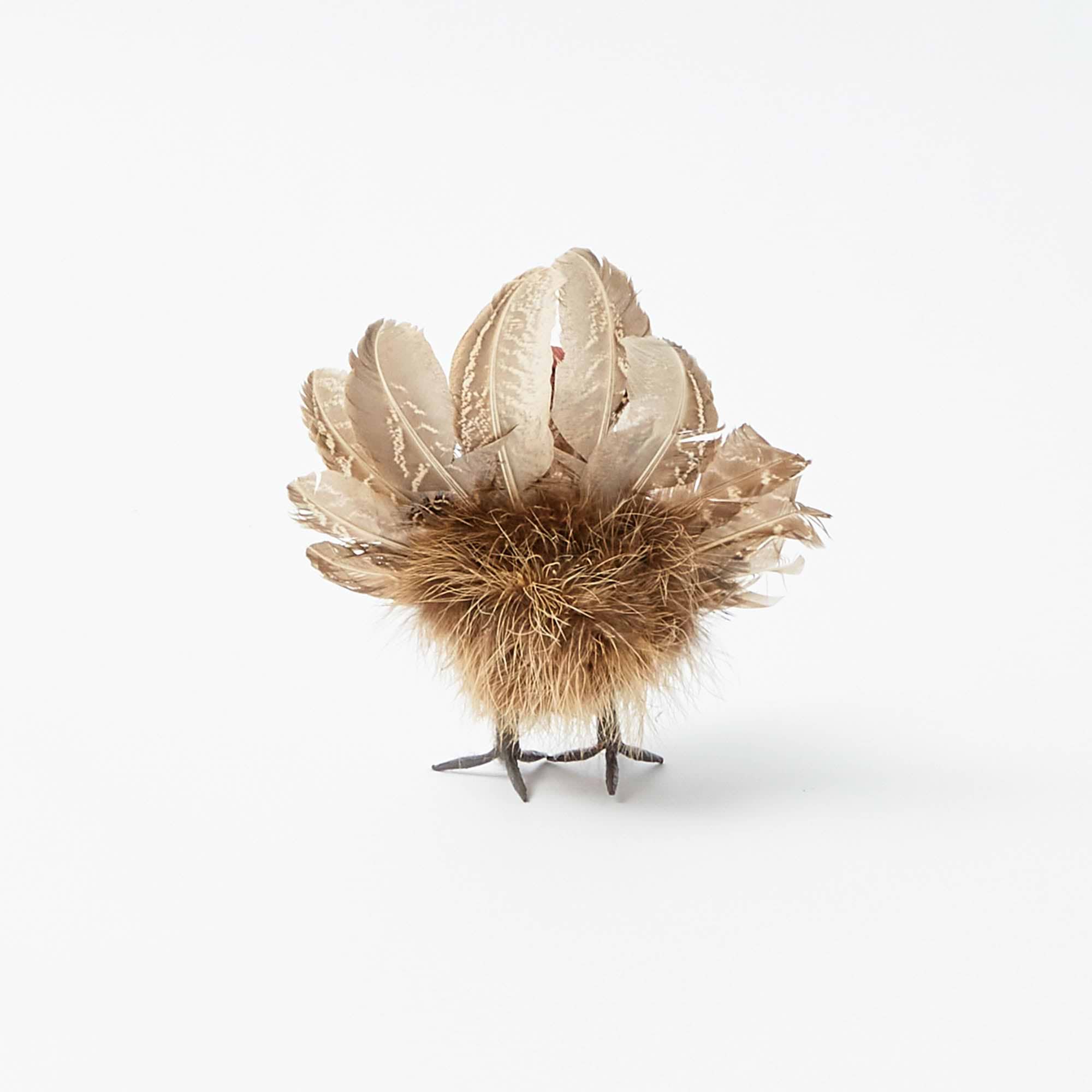 Tina The Tiny Turkey (Set of 4)