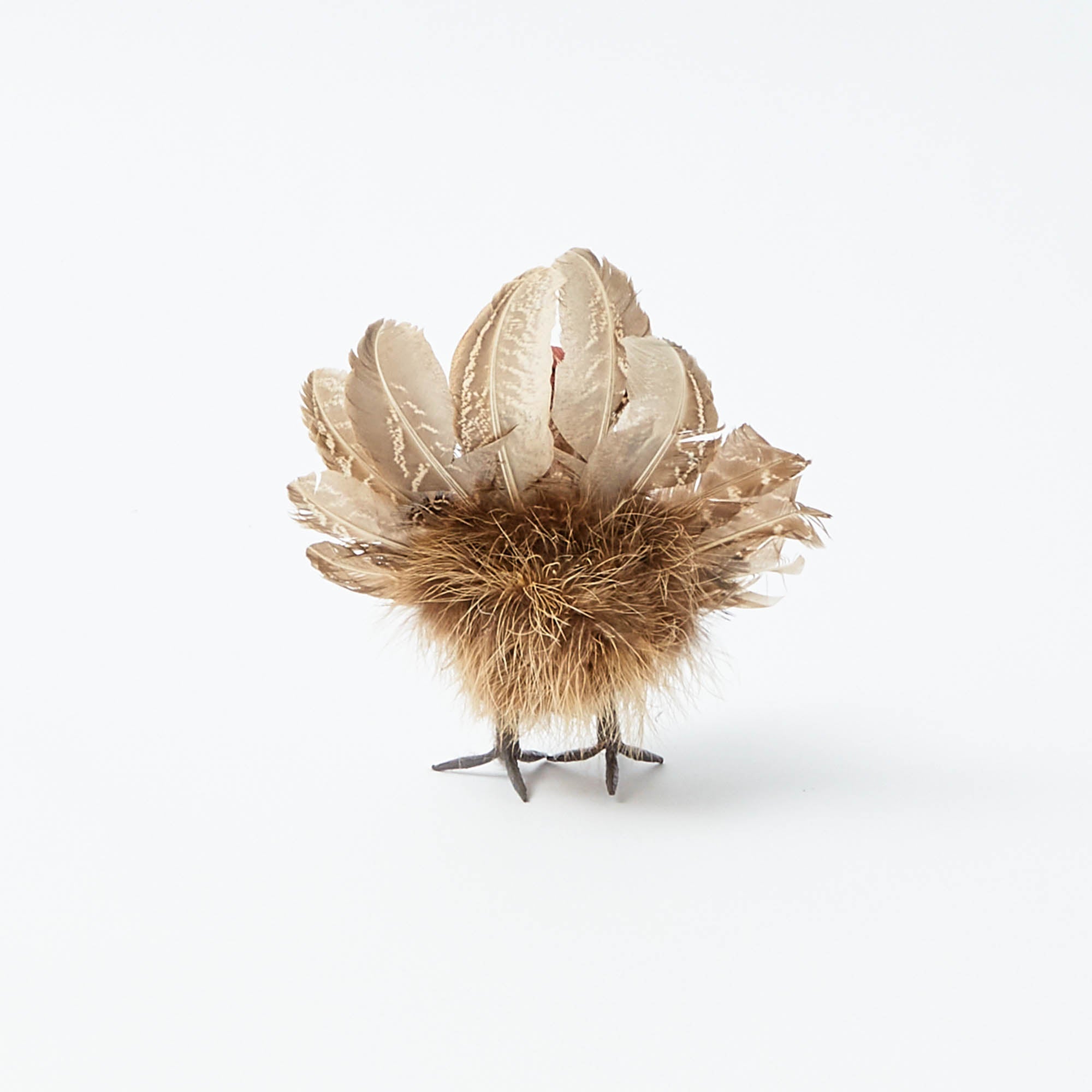 Tina The Tiny Turkey (Set of 4)