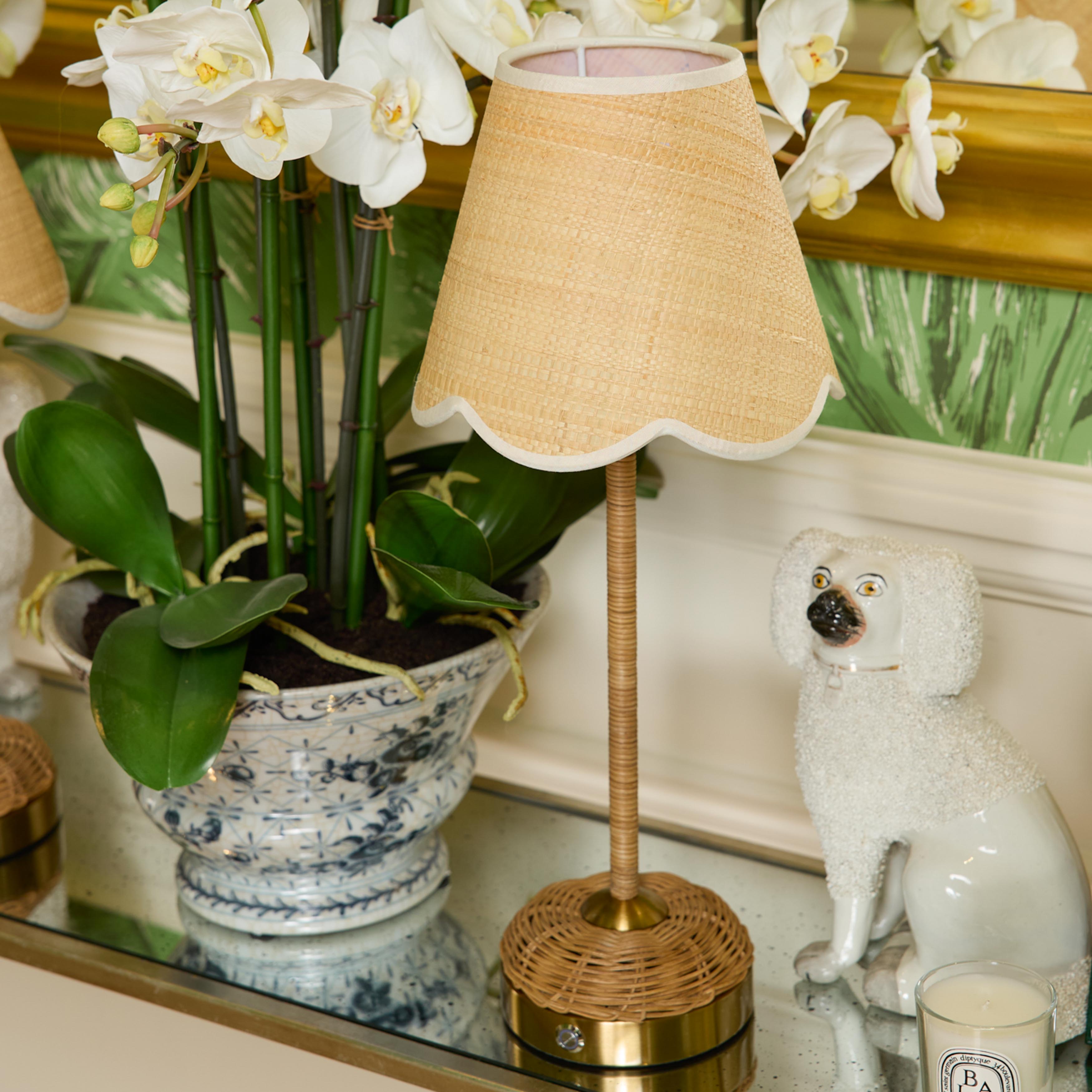 Decorative lamp with a beige shade on a reflective surface with a plant and ceramic dog figurine in the background.