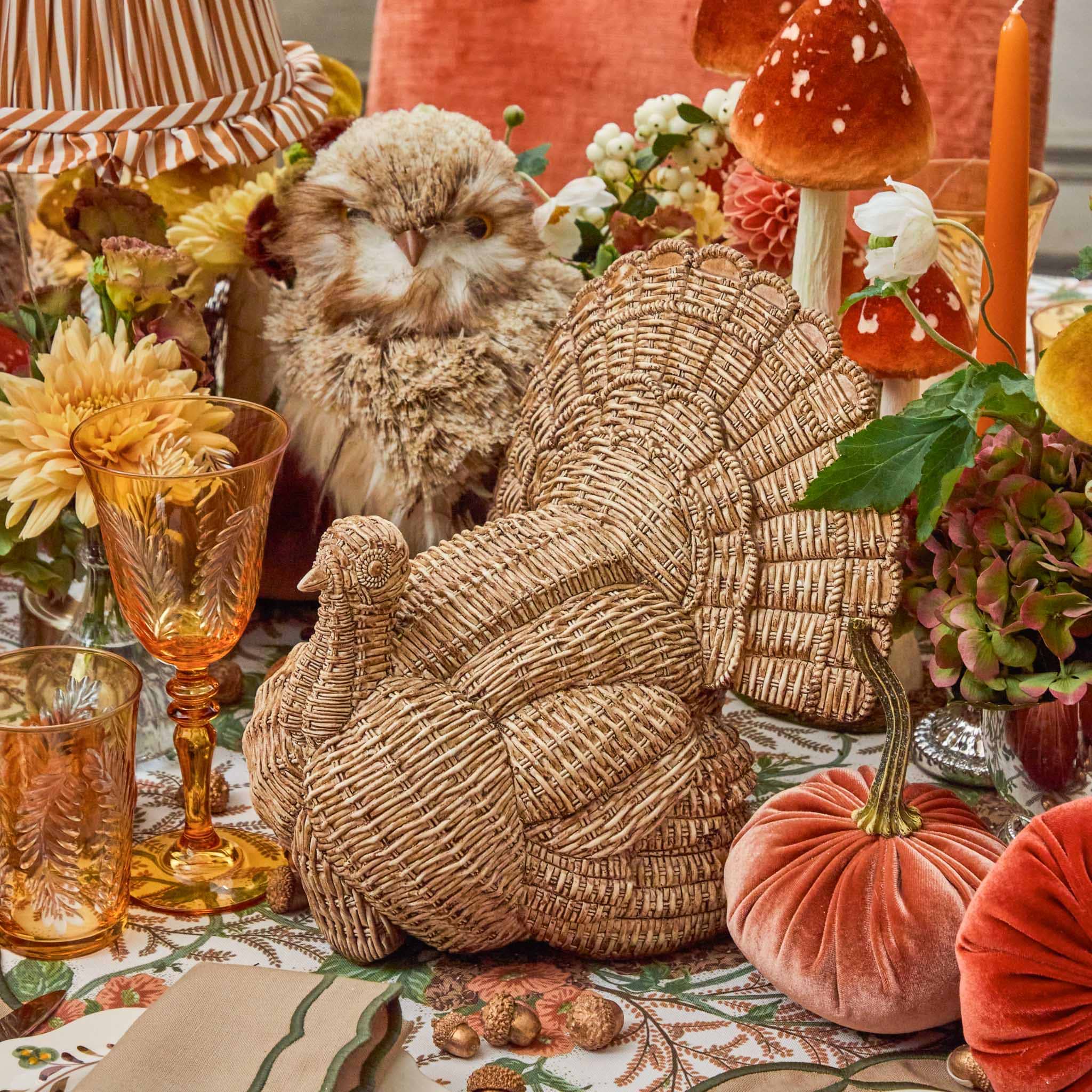 Tom the Turkey