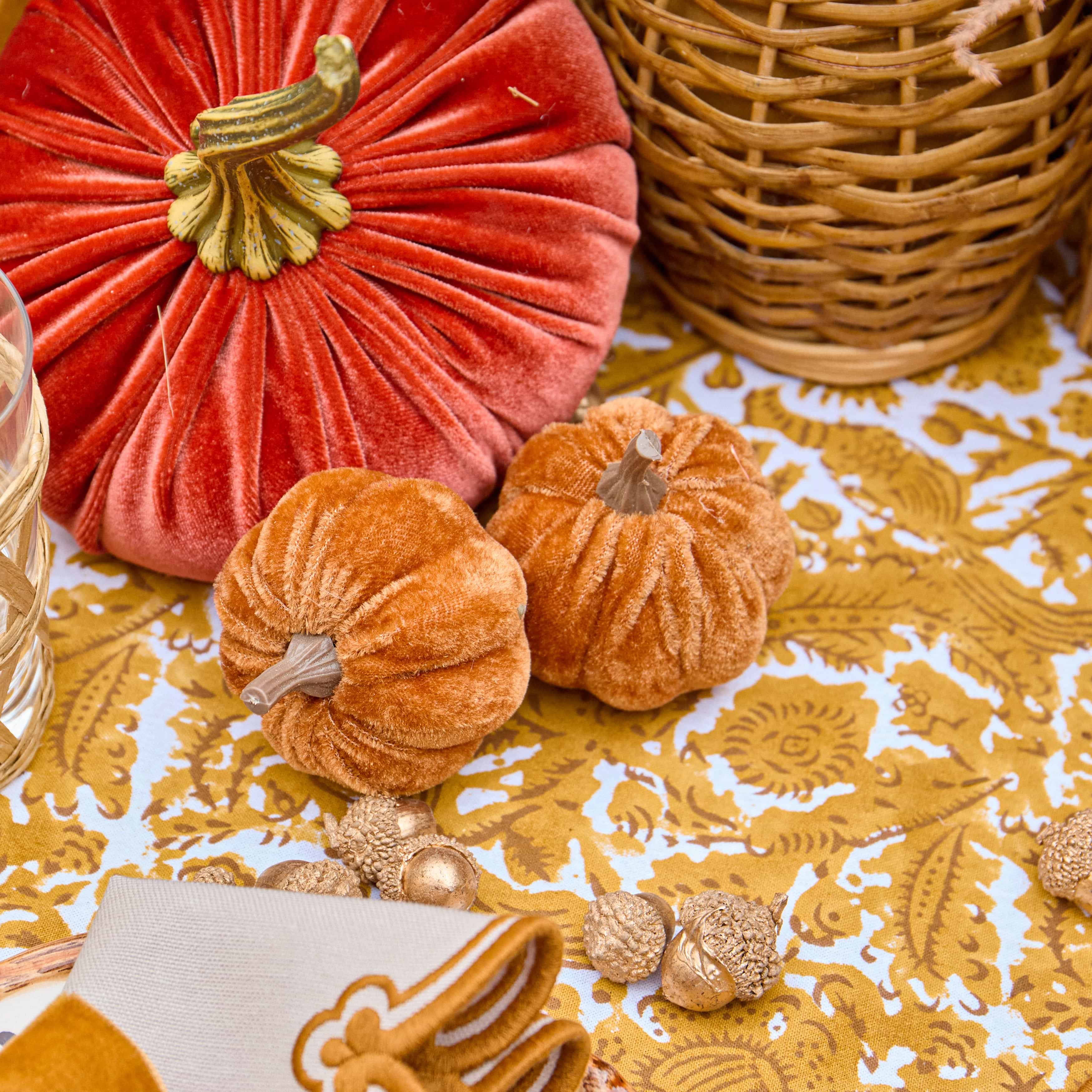 Orange Velvet Pumpkin Family