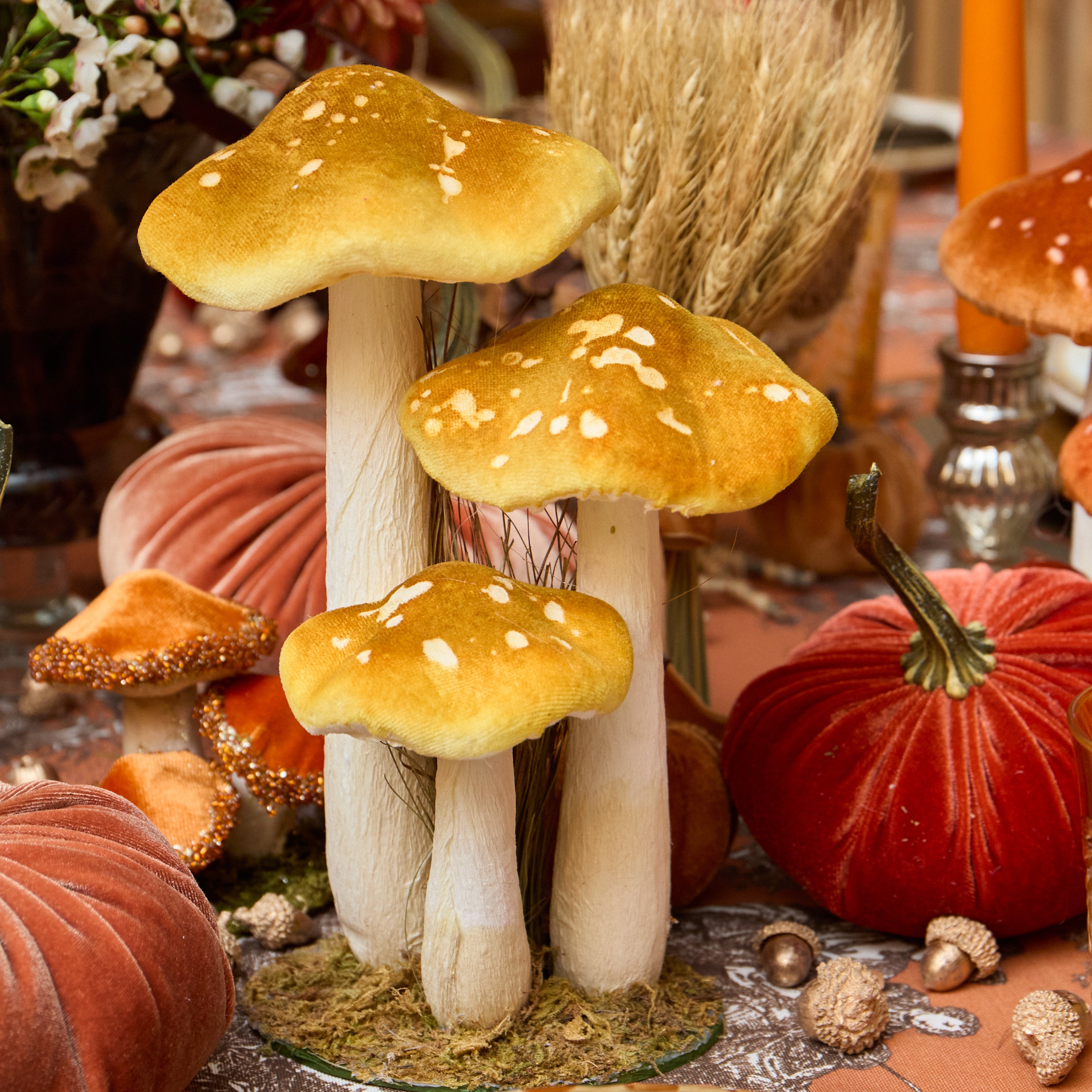 Speckled Mushroom Family