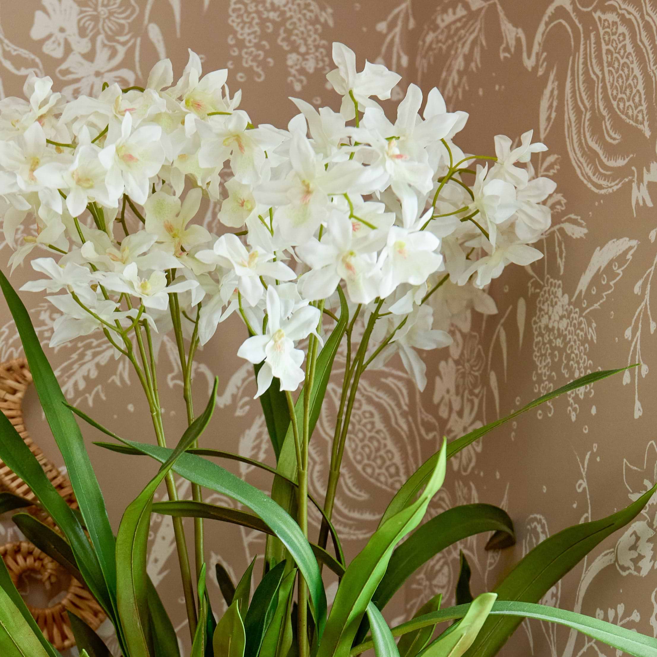Faux Dancing Lady Orchid in Chinoiserie Planter
