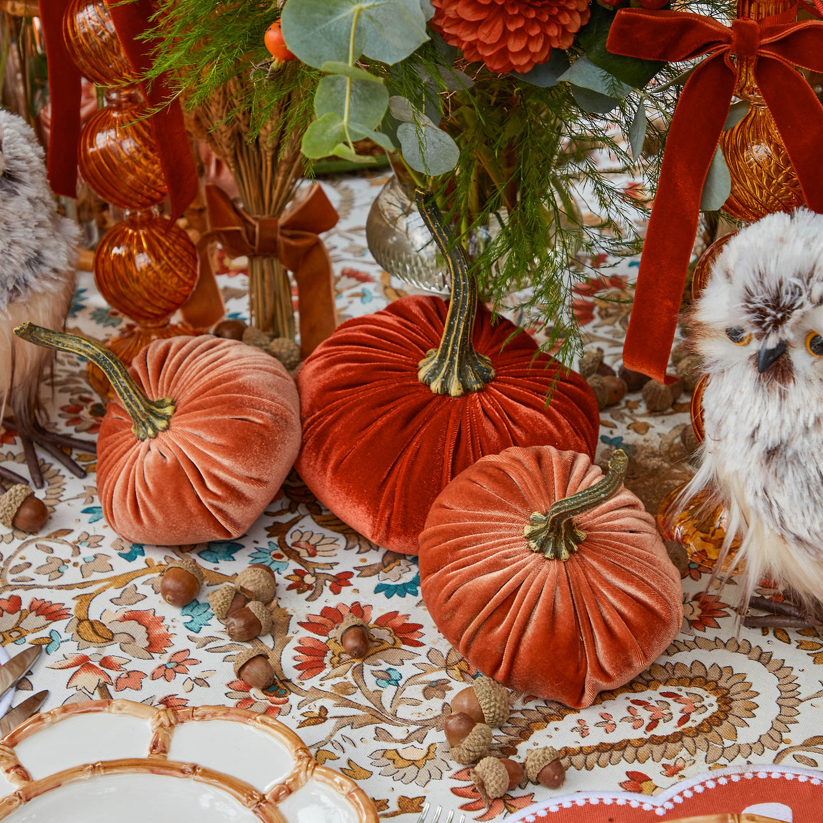 Orange Velvet Pumpkin Family