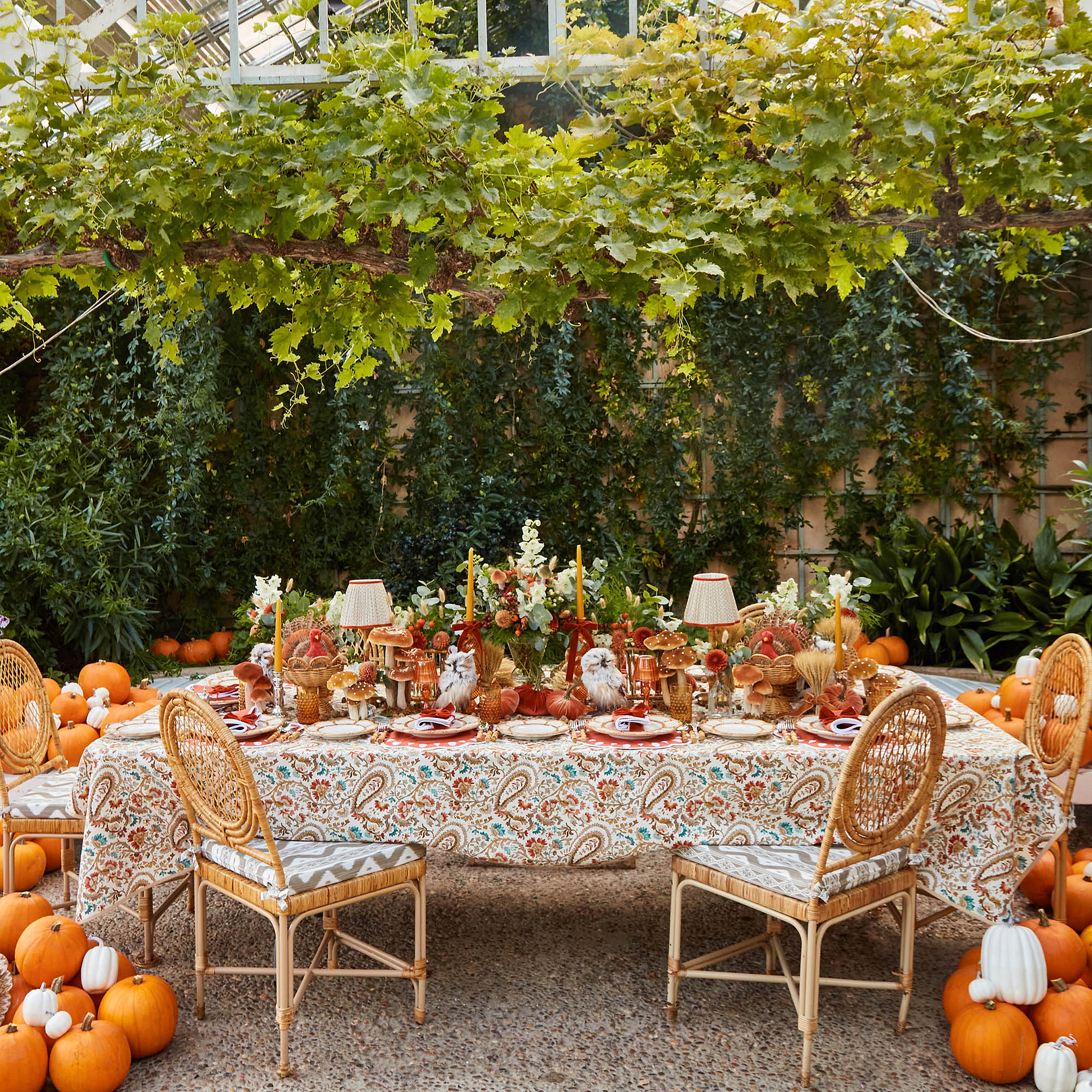 Orange Velvet Pumpkin Family