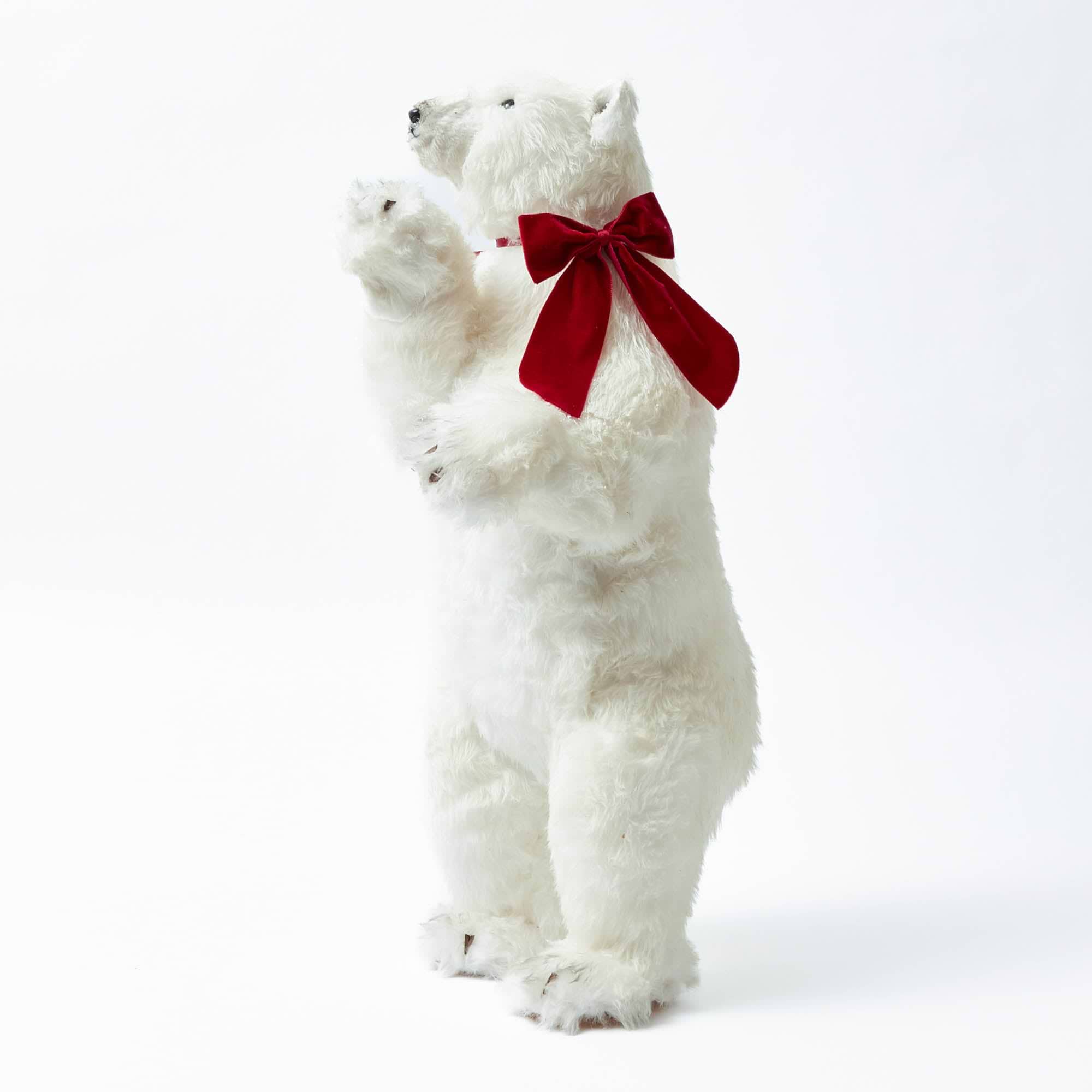 Phil the Polar Bear