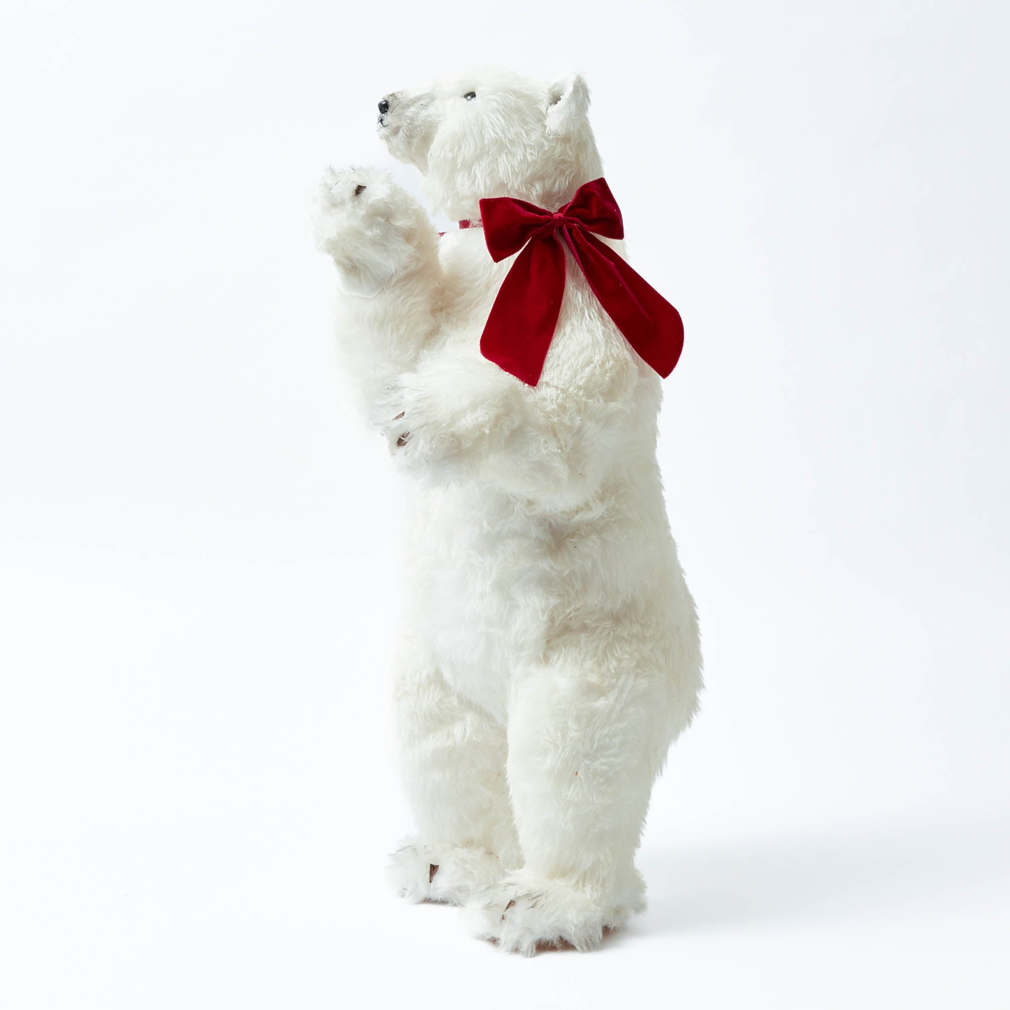 Phil the Polar Bear