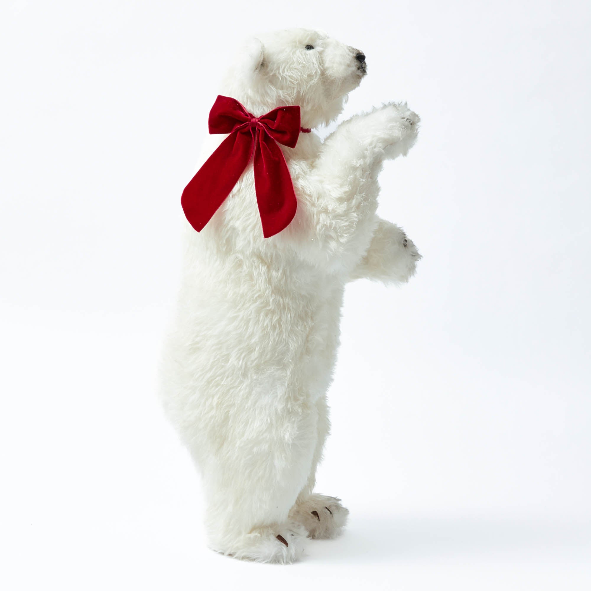 Phil the Polar Bear