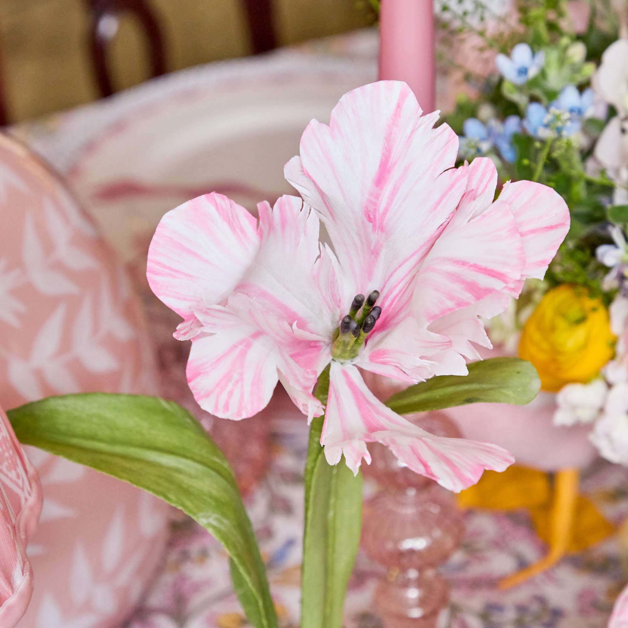 Pink Handpainted Tulip