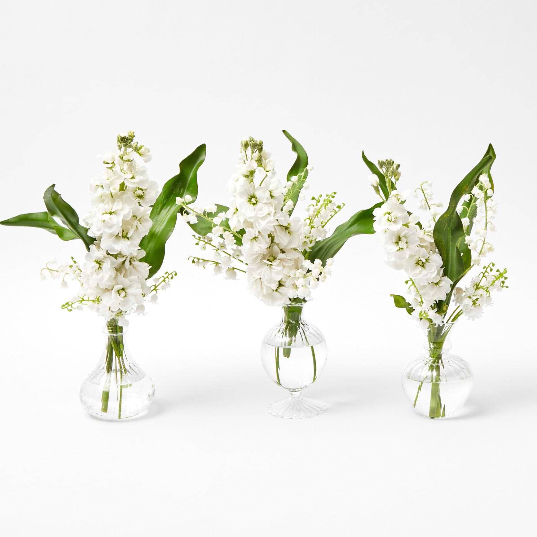 Elevate your floral arrangements with Nancy Bud Vase Set - a trio of vessels that seamlessly blend modern design and timeless beauty.