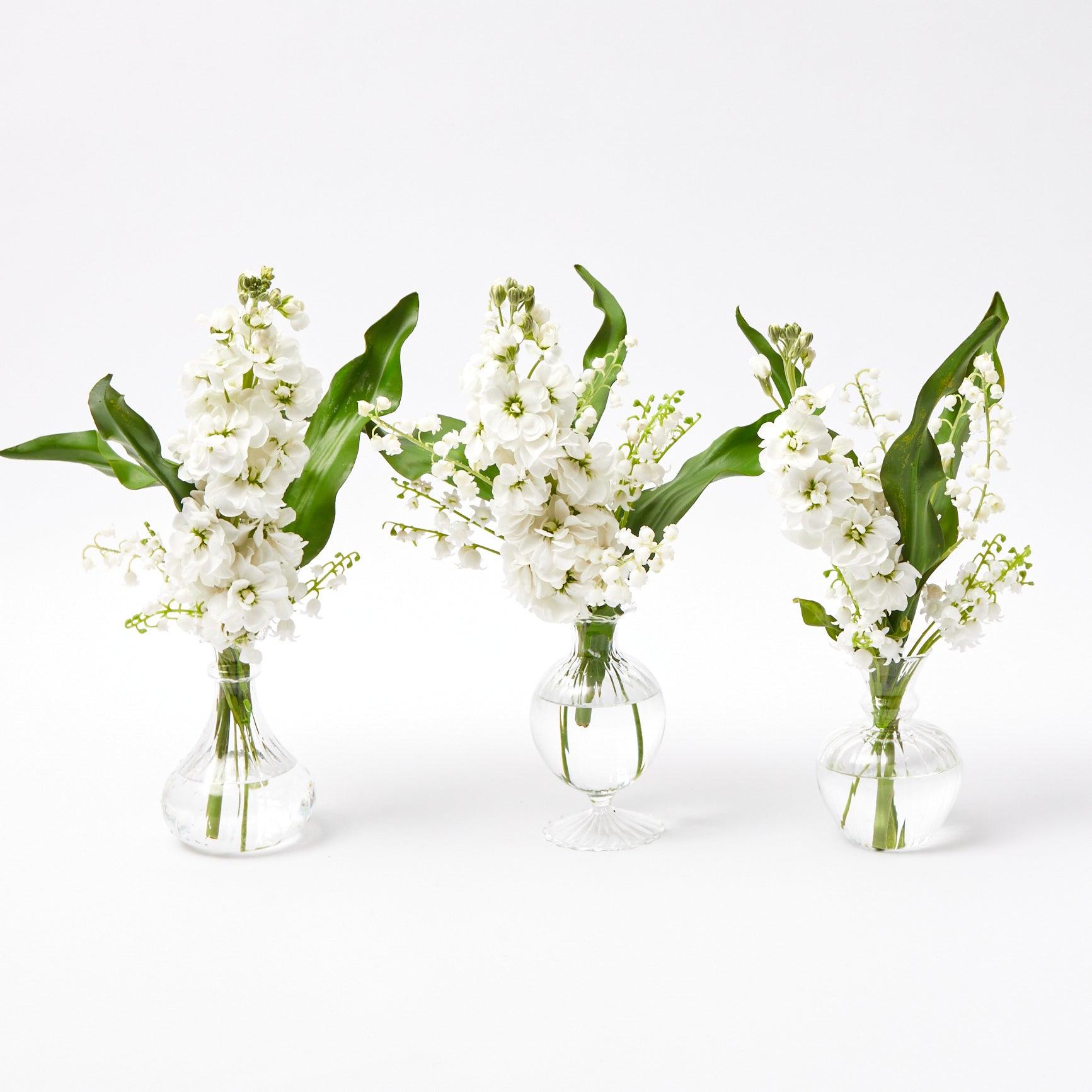 Elevate your floral arrangements with Nancy Bud Vase Set - a trio of vessels that seamlessly blend modern design and timeless beauty.