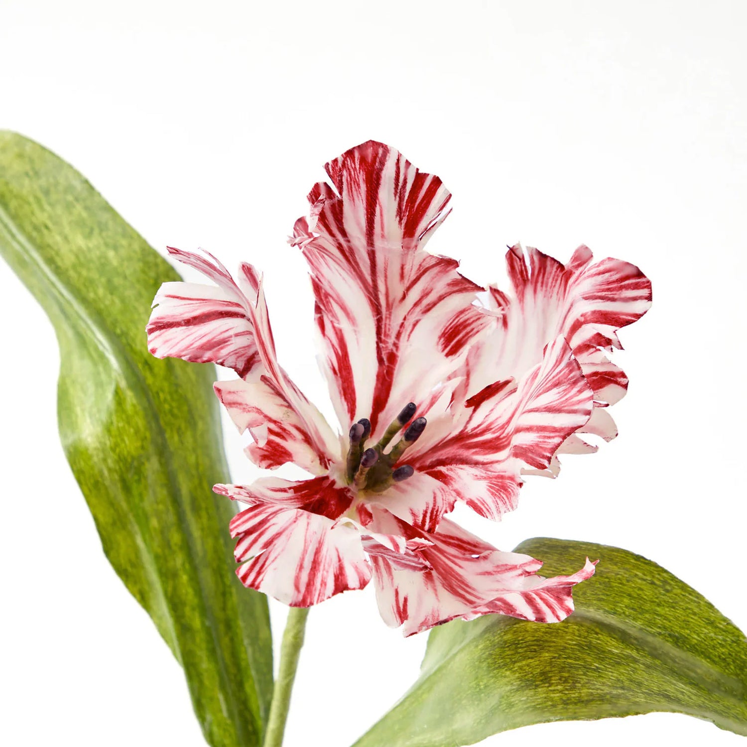 Mrs. Alice Handpainted Red Tulip