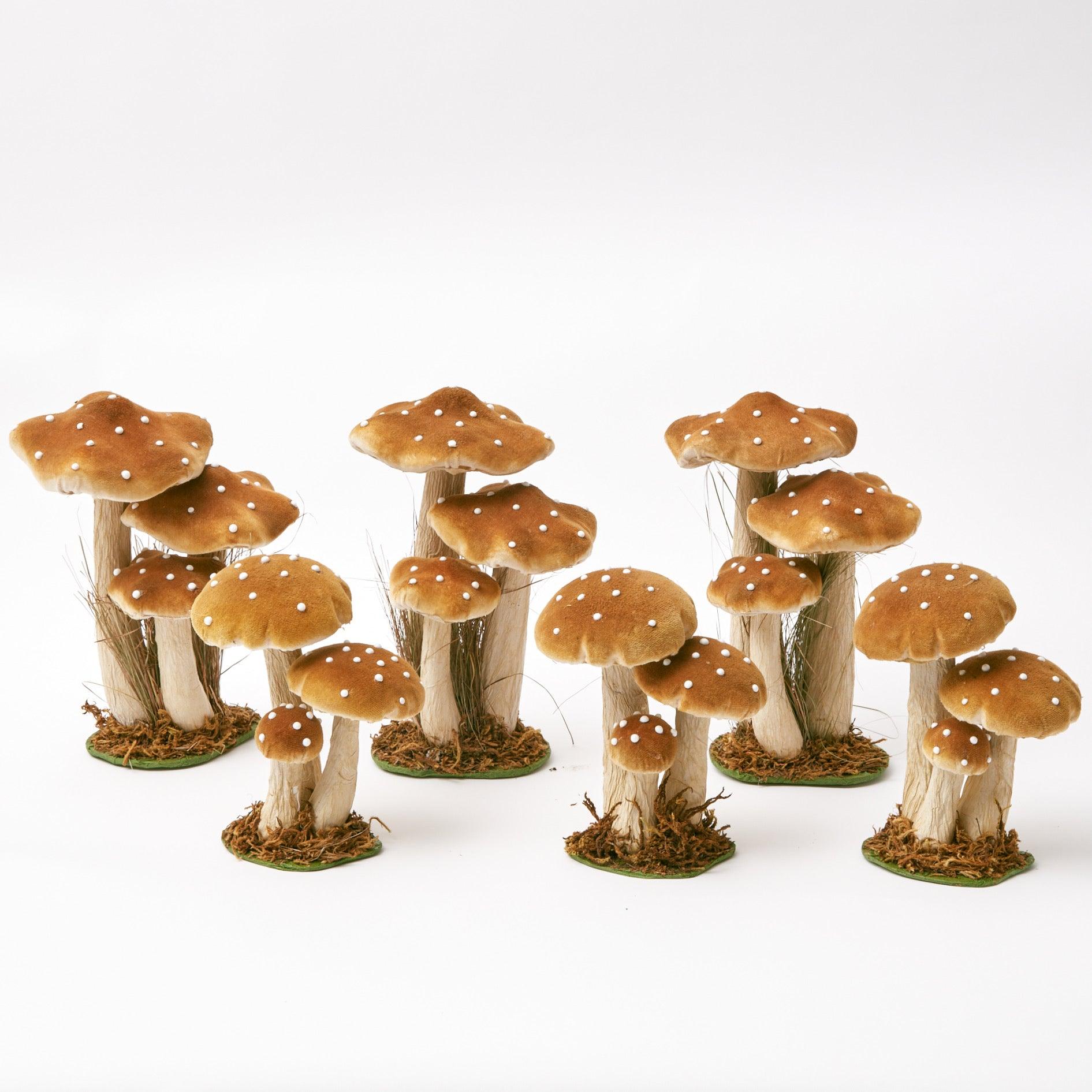 Create a luxurious atmosphere with the velvety allure of the Tall Caramel Velvet Mushroom Set, perfect for a comforting touch.